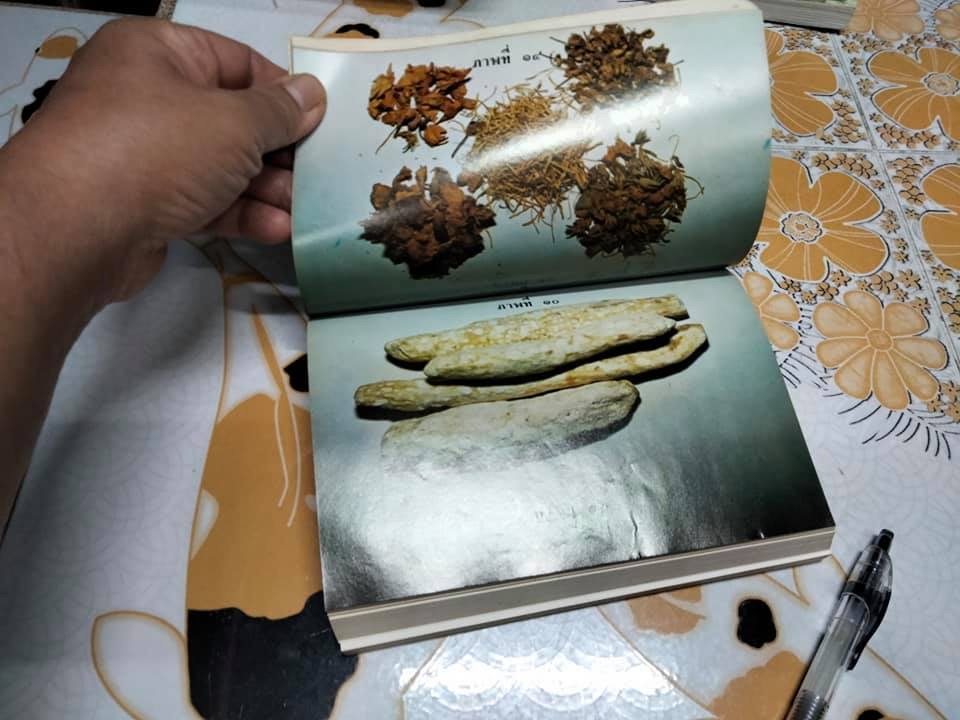 คู่มือยาสมุนไพร และโรคประเทศเขตร้อนและวิธีบำบัดรักษา ชุด 1 - พ.ต.อ.ชลอ อุทกภาชน์ **จองแล้ว**