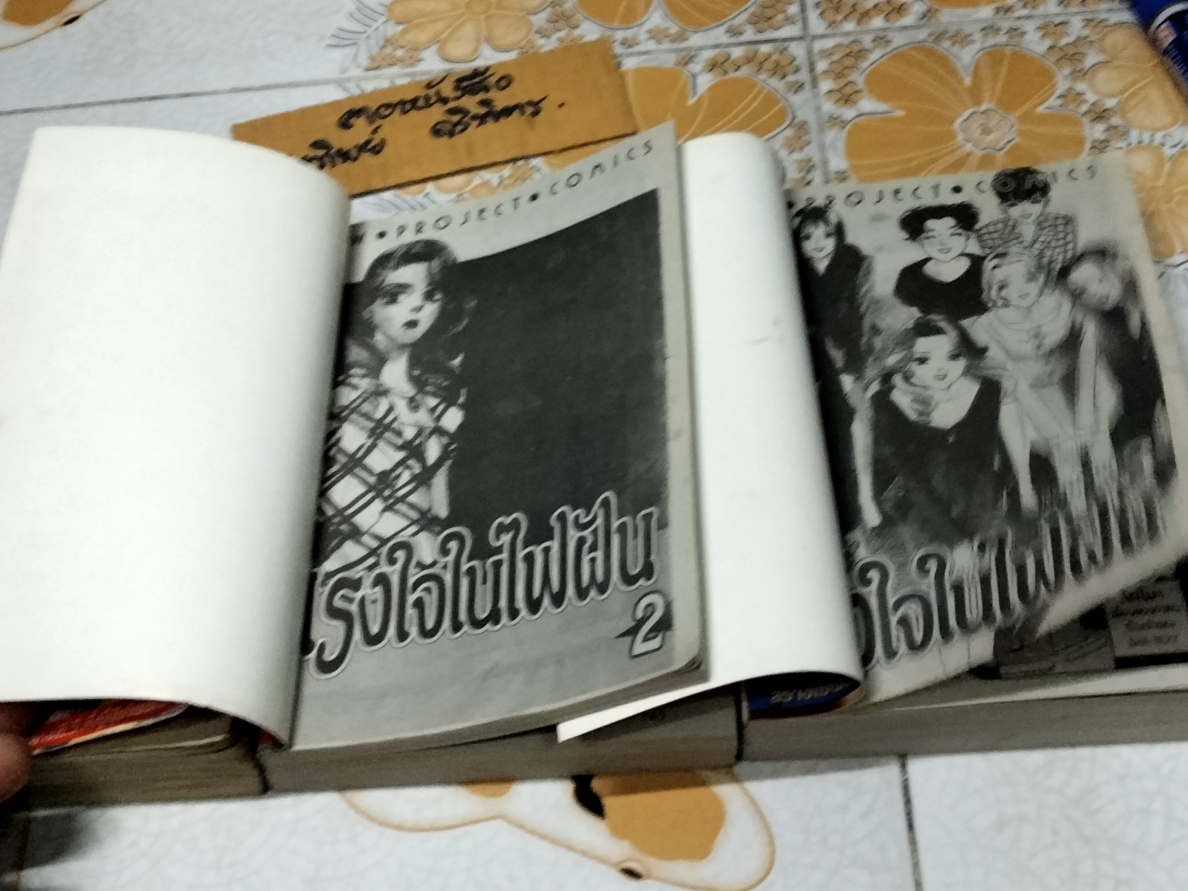 แรงใจในไฟฝัน (3 เล่มจบ - New Project Comics)