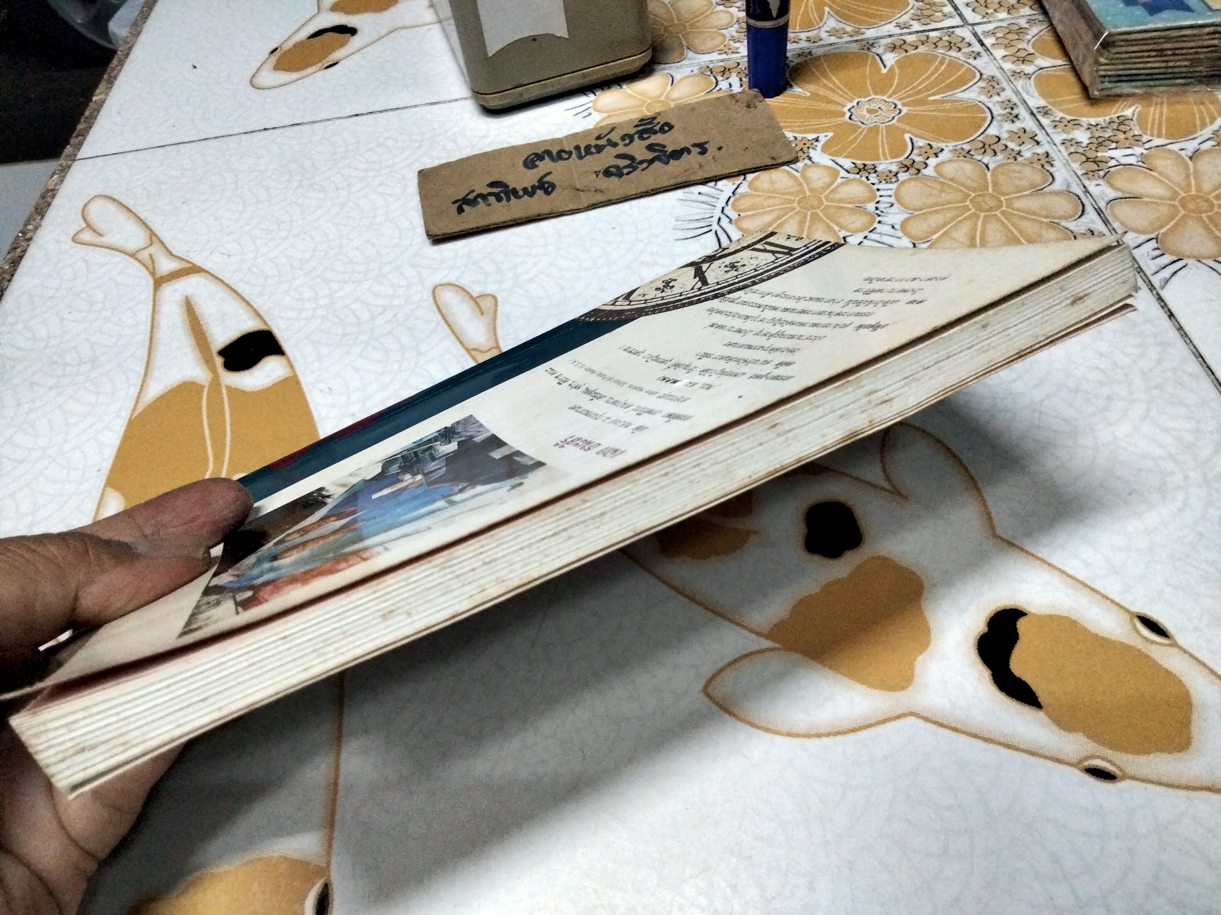 ทำอย่างไรจะปราศจากโรคและชะลอความชรา - เฉก ธนะสิริ พิมพ์ครั้งที่ 2/2532