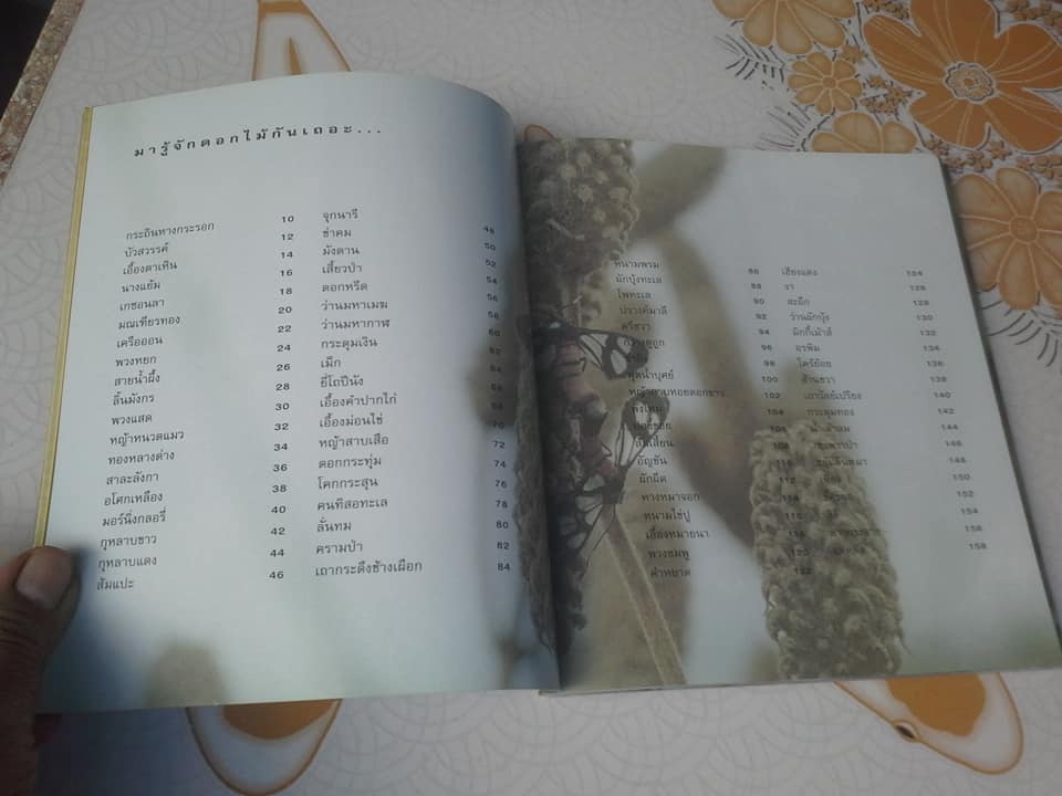 เล่าเรื่องดอกไม้ โดย ชัชฎา วงศ์ทองสงวน **สินค้าหมด**