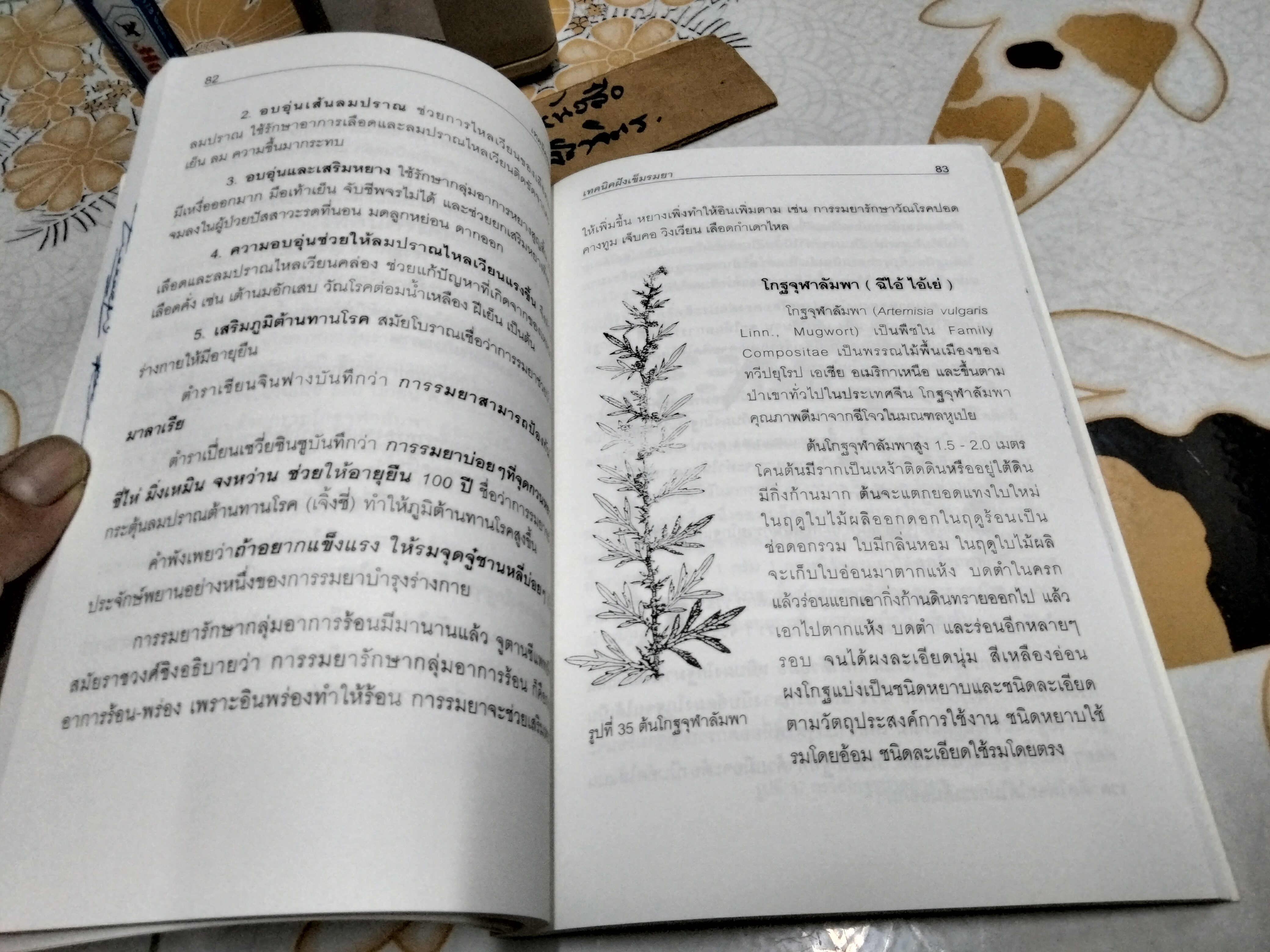 เทคนิคฝังเข็มรมยา : ตำราเรียนการแพทย์แผนจีนด้วยตนเอง ผู้แต่ง : โกวิท คัมภีรภาพ พิมพ์ครั้งแรก พ.ศ.2547 **สินค้าหมด**