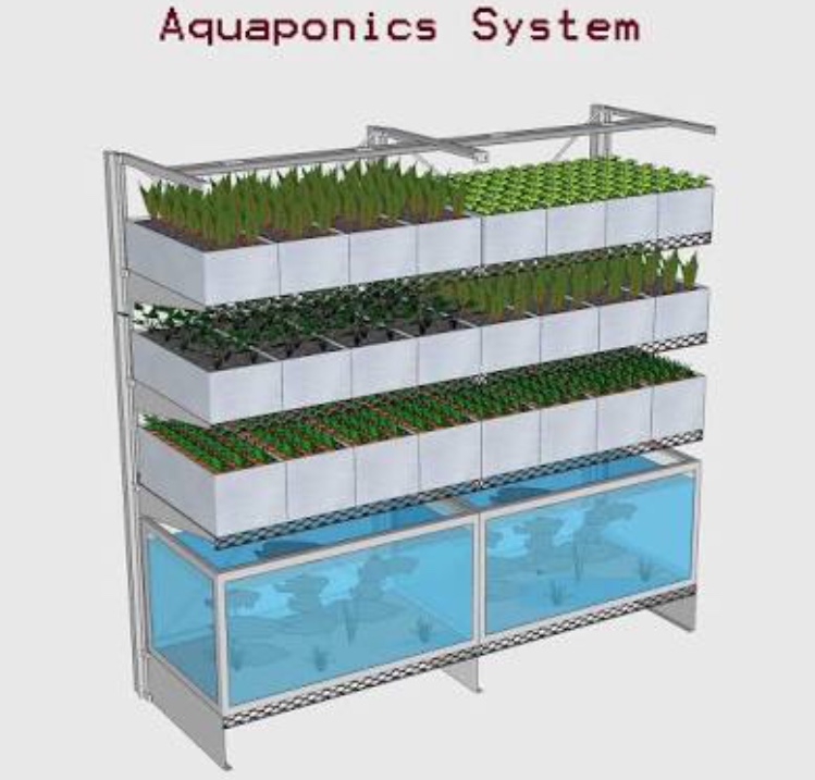 Aquaponics systems NFT