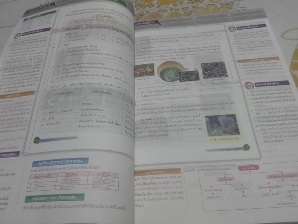 คู่มือครู วิทยาศาสตร์ ชั้นมัธยมศึกษาปีที่ 3 พว. พิมพ์ปี 2555