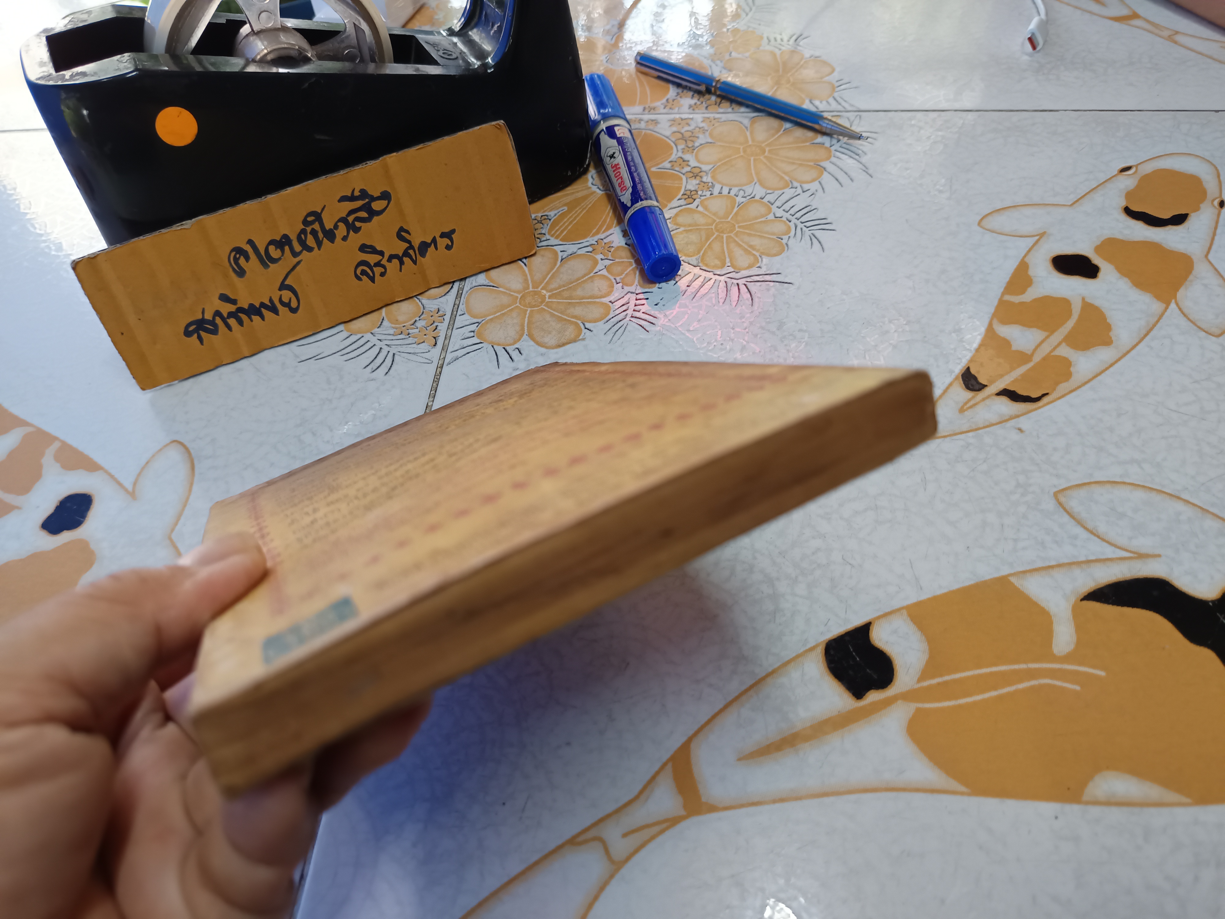 ปลาลึกลับ ชีวิตอันมหัศจรรย์ของปลา แปลและเรียบเรียงโดย ครรชิต มาลัยวงศ์