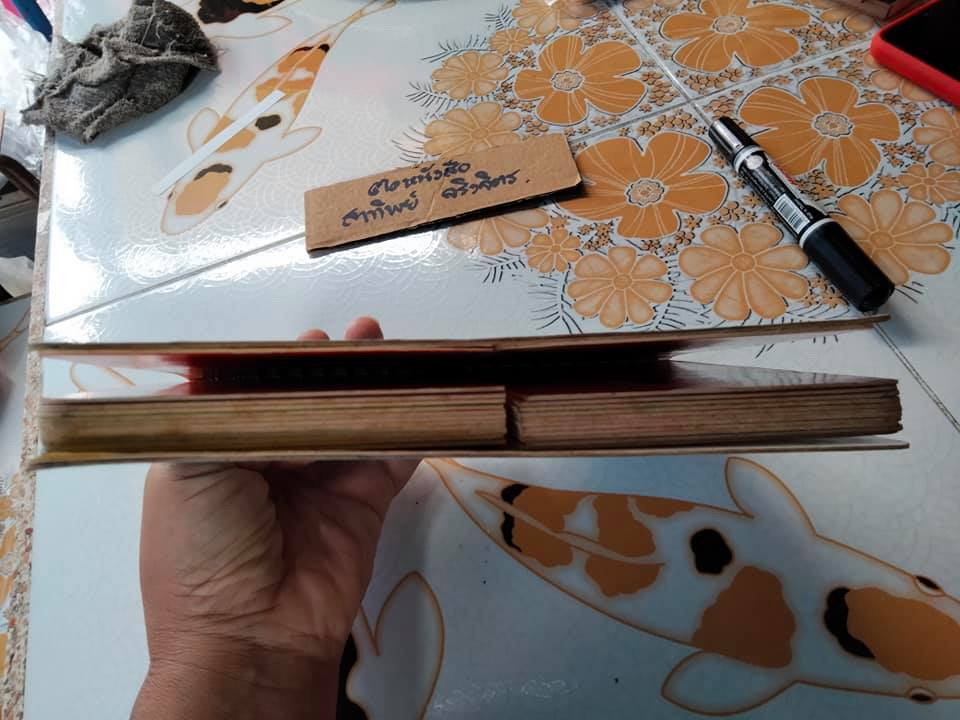 เรียนศัพท์นับเลขแสนสนุก (LOONEY TUNES) หนังสือภาพสำหรับเด็กวัยก่อนเข้าเรียน-วัยอนุบาล