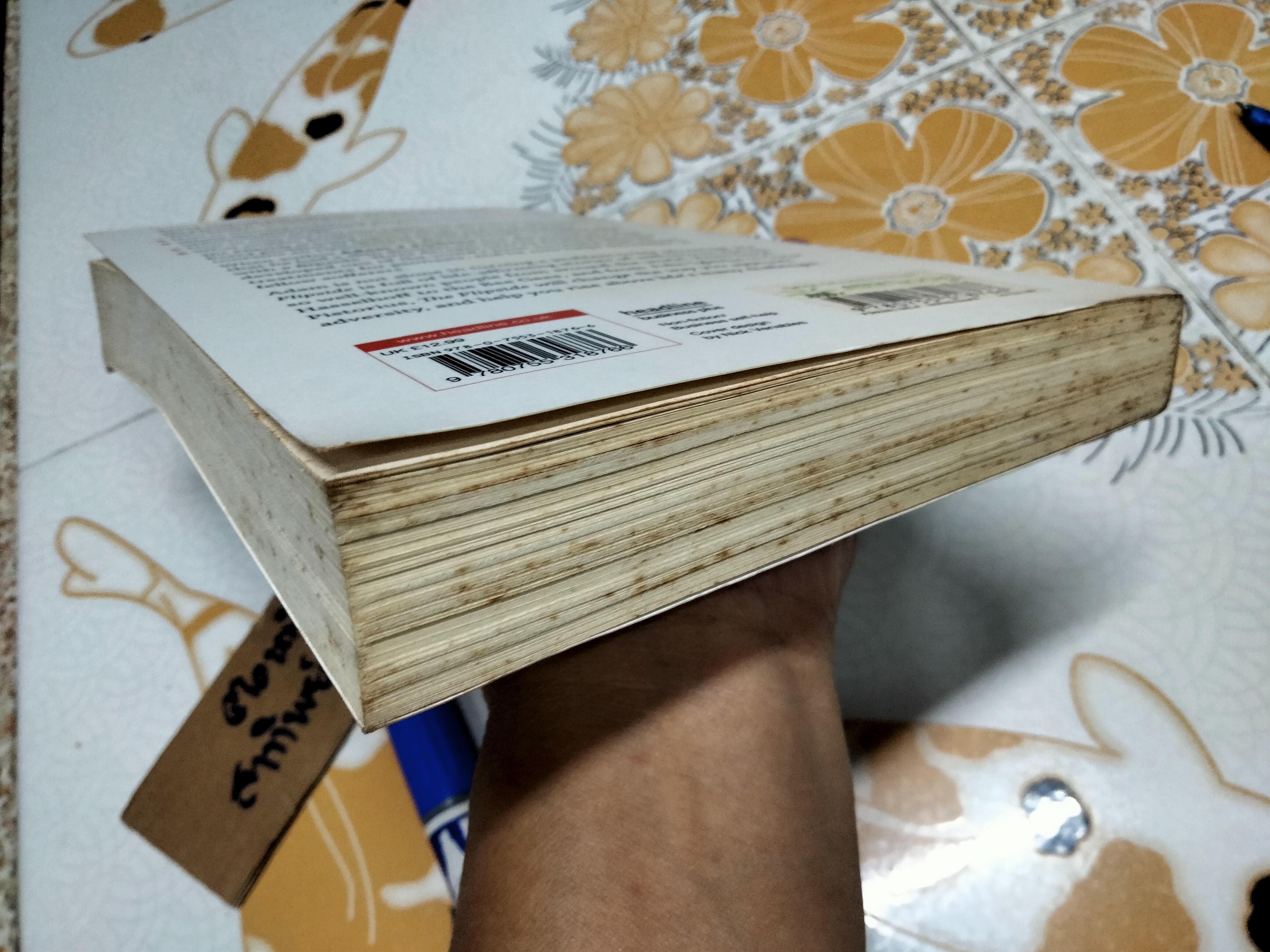 THE FLIPSIDE By Adam J Jackson Finding the Hidden Opportunities in Life (ฉบับภาษาอังกฤษ) **สินค้าหมด**