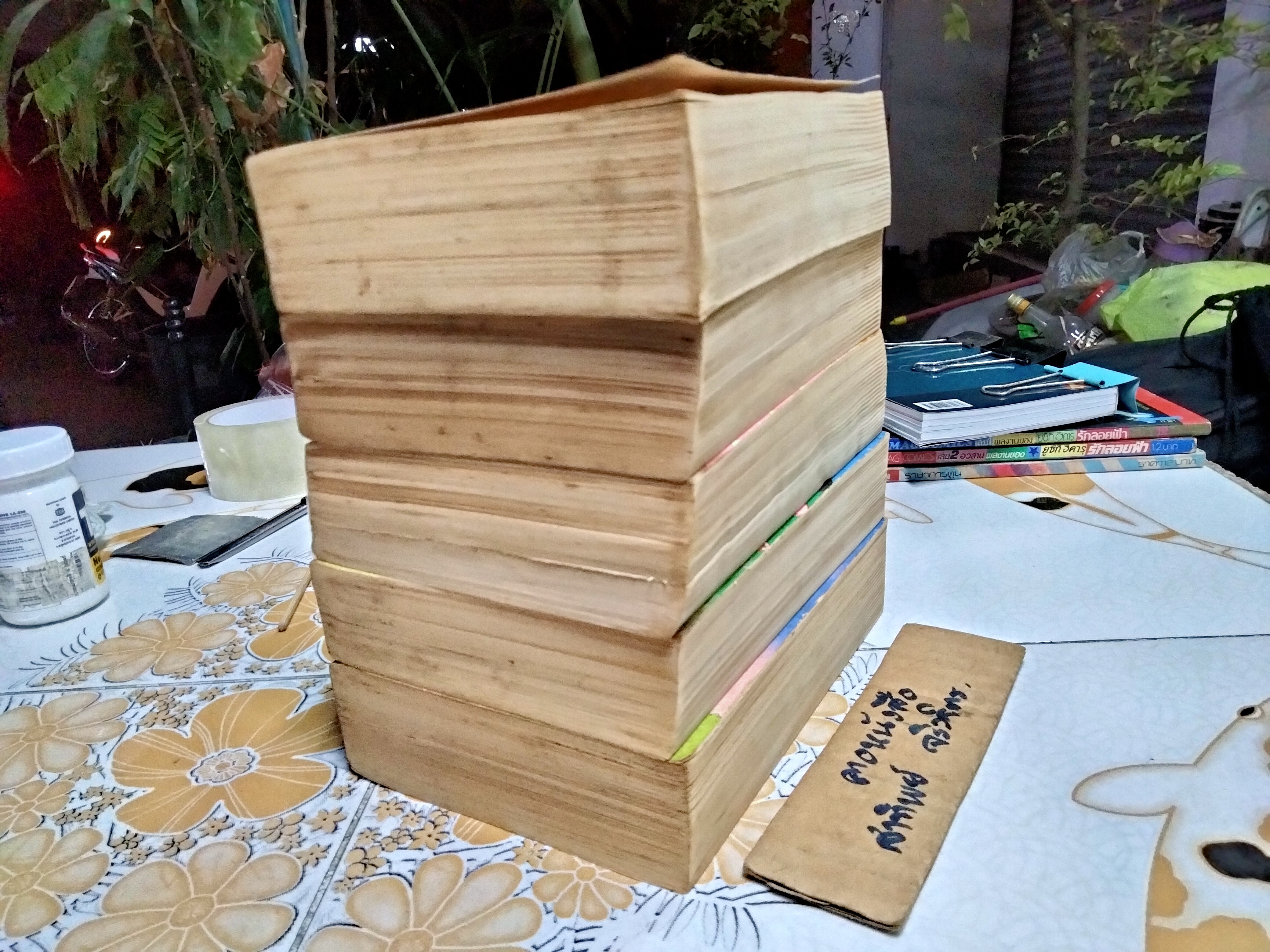 รันเซ ลูกสาวซาตาน ภาค 1 (5 เล่มจบ) ผลงานเก่าหายากชอง IKEINO KOI (ตำหนิเล่ม 3)