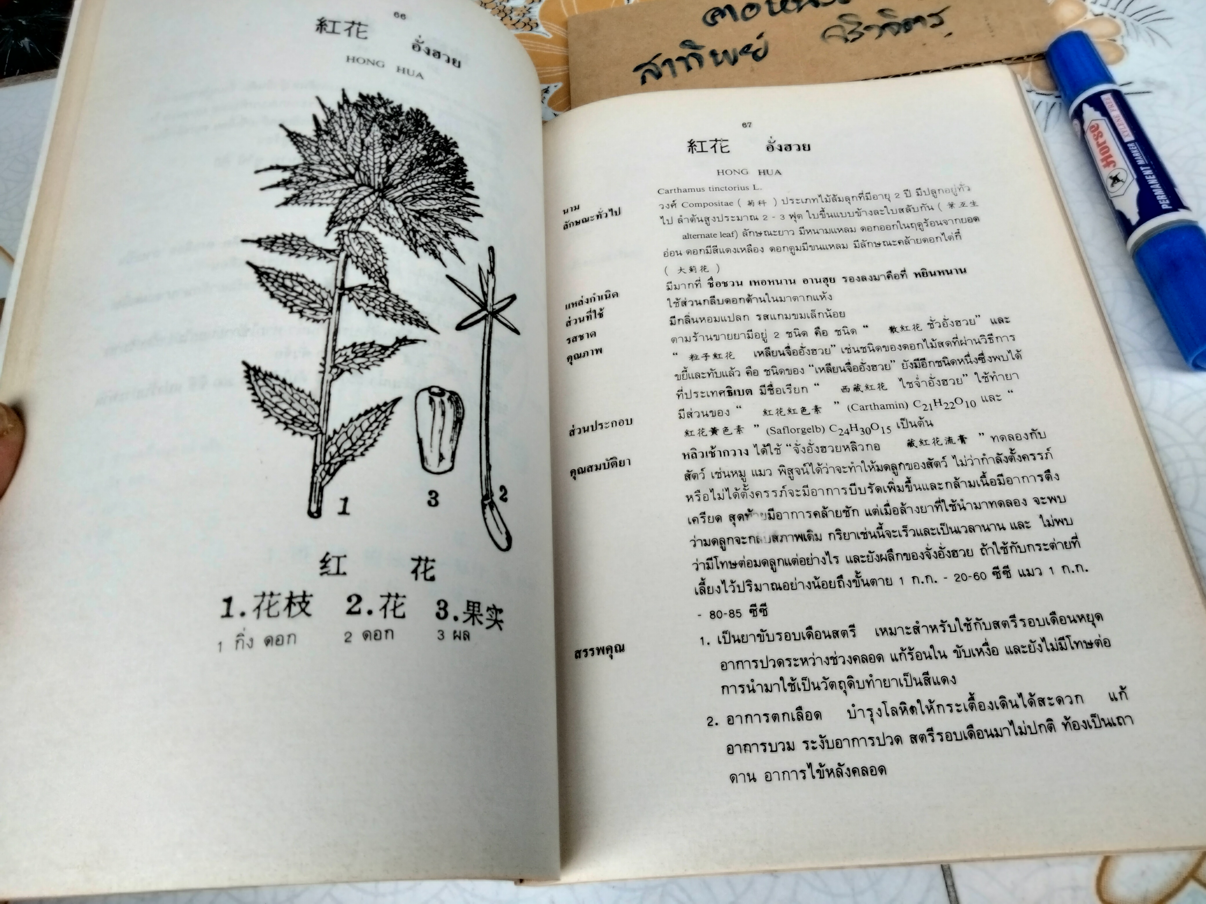 สมุนไพรจีน - รวบรวมเรียบเรียงและจัดพิมพ์ โดย นายเจนกิจ เวชพงศา **สินค้าหมด**