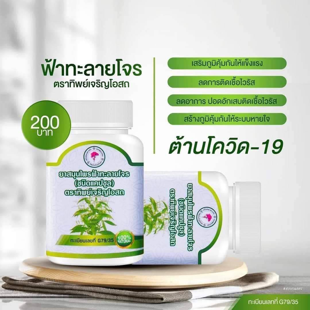 ฟ้าทะลายโจร ตราทิพย์เจริญโอสถ ขนาด 100 แคปซูล