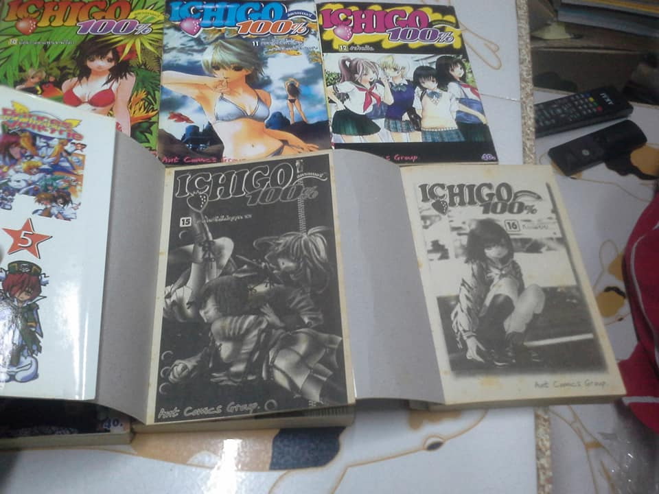 การ์ตูน ICHIGO 100 % - 19 เล่มจบ (สนพ.ANT)