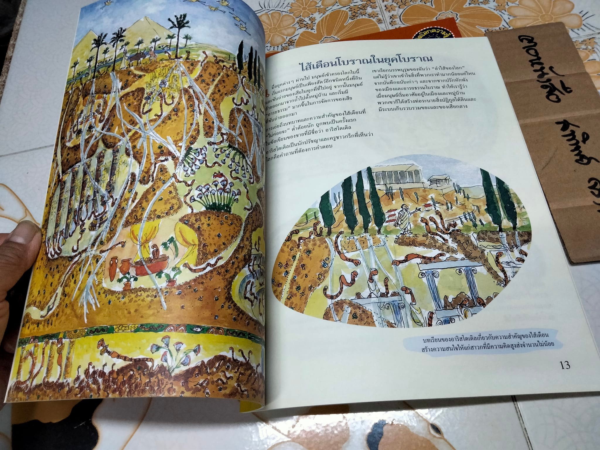 หนังสือเปิดโลกความรู้ ชุด สิ่งแวดล้อมใกล้ตัวเรา ฉบับภาษาไทย, เรื่องโดย Caren Trafford - ภาพโดย Jade Okley - แปลโดย เกษมพันธ์ วิริยานนท์