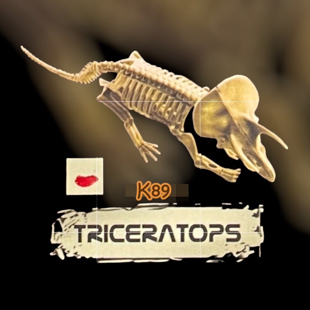 ชุดขุดฟอสซิลไดโนเสาร์