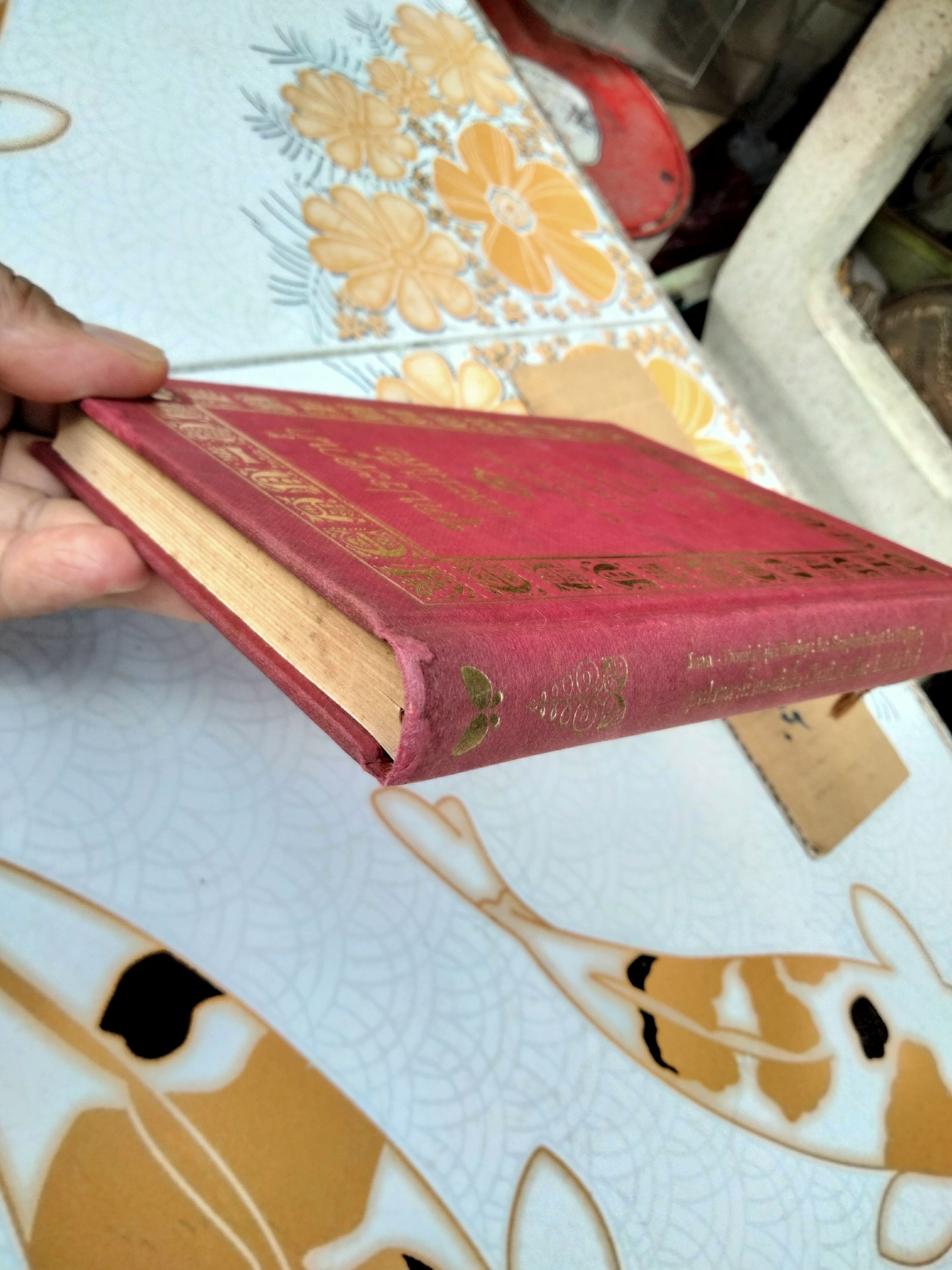 ชุดประดาน้ำและผีเสื้อ (Le Scaphandre et Le papillion) ฌ็อง-โดมินิก โบบี้ เขียน วัลยา วิวัฒน์ศร แปลจากภาษาฝรั่งเศส (ปกแข็ง-พิมพ์ครั้งแรก 2541) **สินค้าหมด**