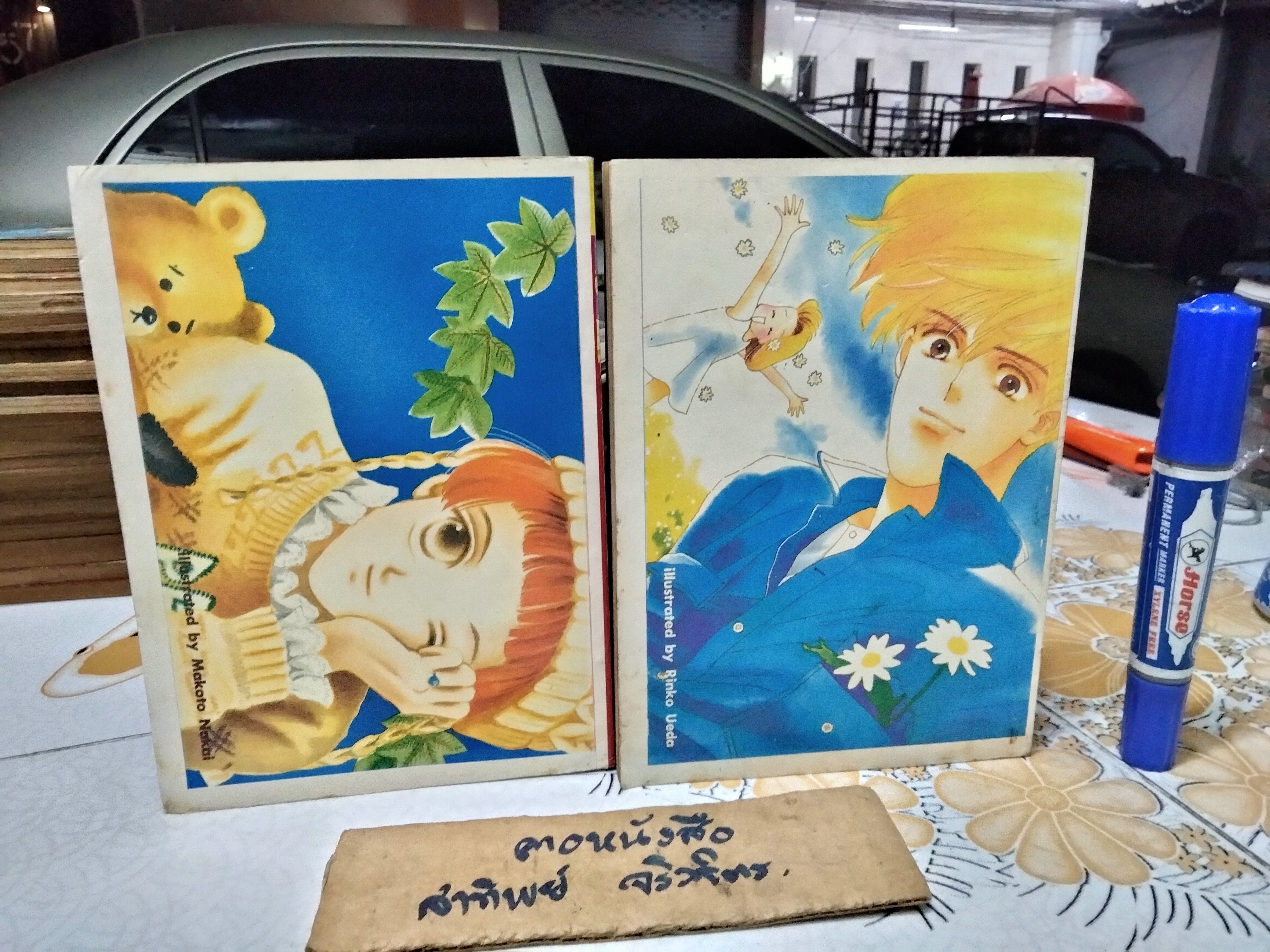 สุสานฟาโรห์ 2 เล่มจบ ผลงาน ทาเคมิยะ เคโกะ ฉบับรวมเล่ม 2 เล่มหนา สนพ.มอร์นิ่งซัน