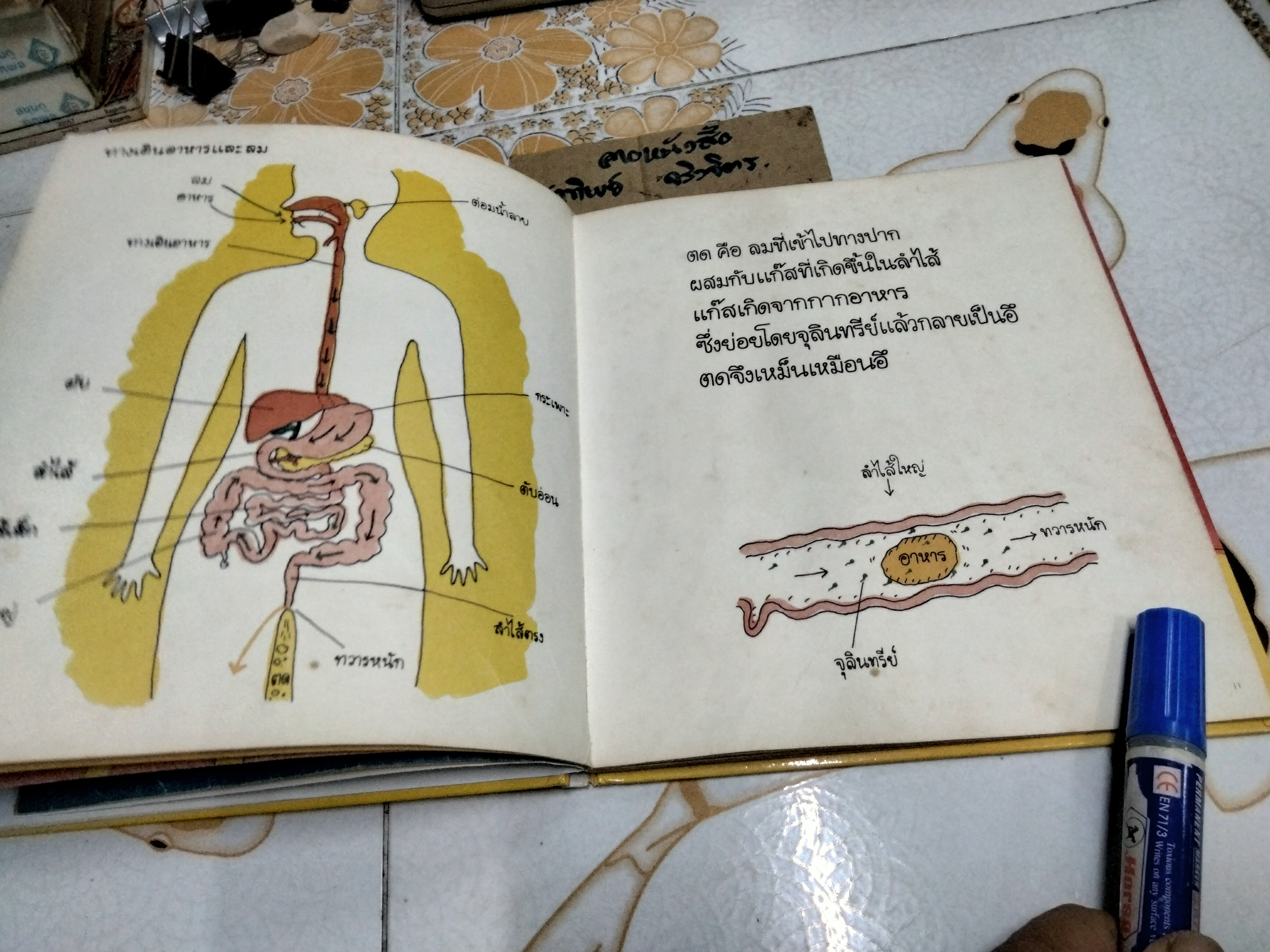 นิทานชุดหนูอยากรู้ ตด ชินตะ โช เรื่อง พรอนงค์ นิยมค้า แปล พิมพ์ครั้งแรก พ.ศ 2537