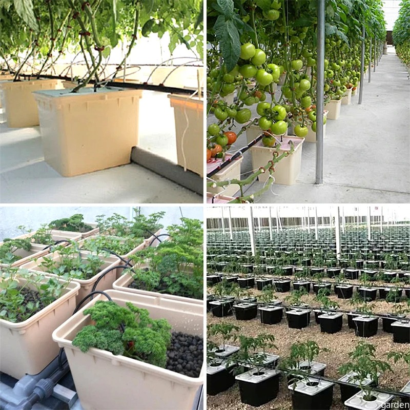 ถังปลูกไฮโดร dutch bucket 1 รูใหญ่ สีครีม