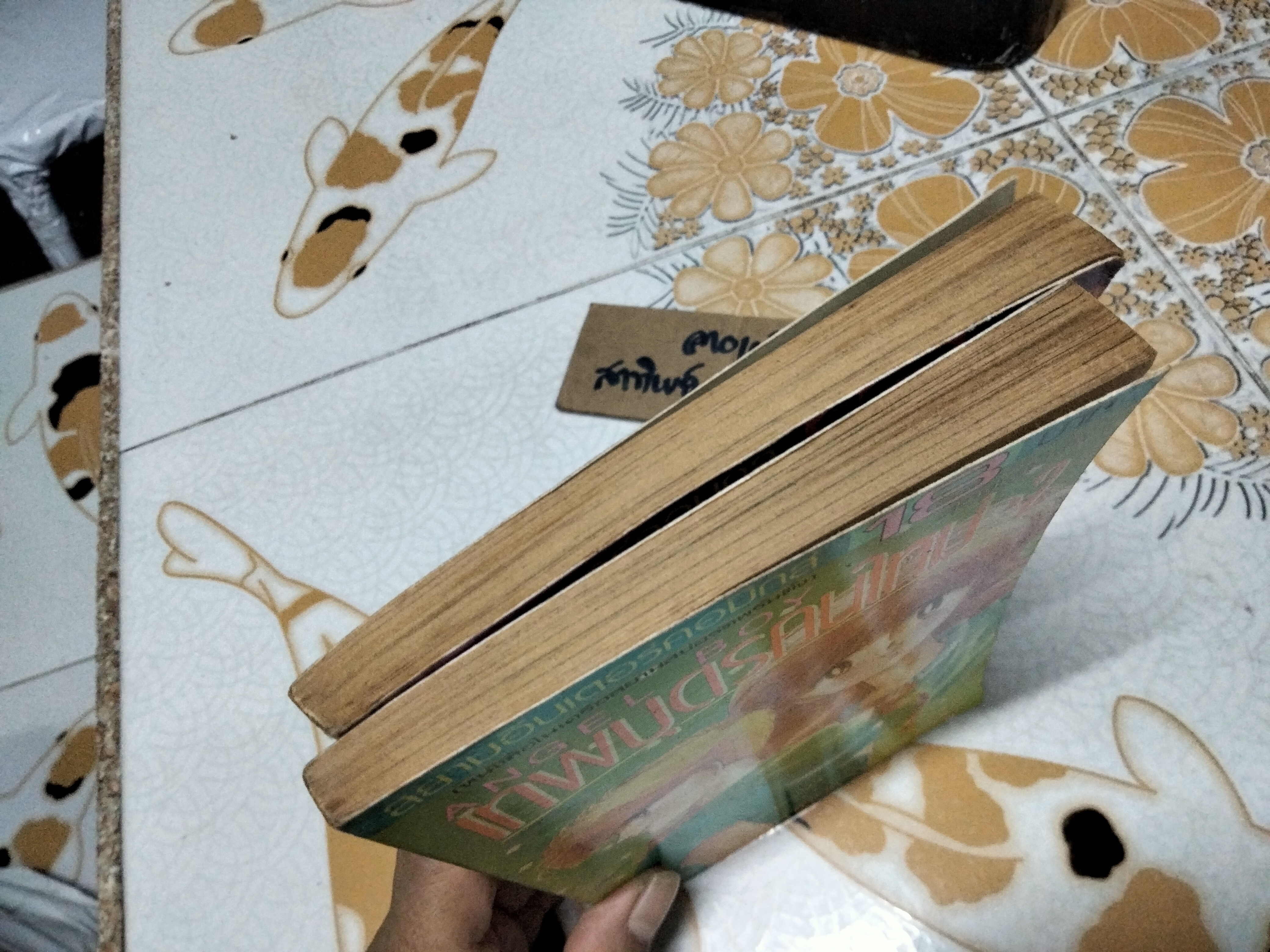 Angel Boy เทพบุตรคนใหม่ (2 เล่มจบ) โดย SAGARA KYOKO สยามอินเตอร์คอมิกส์