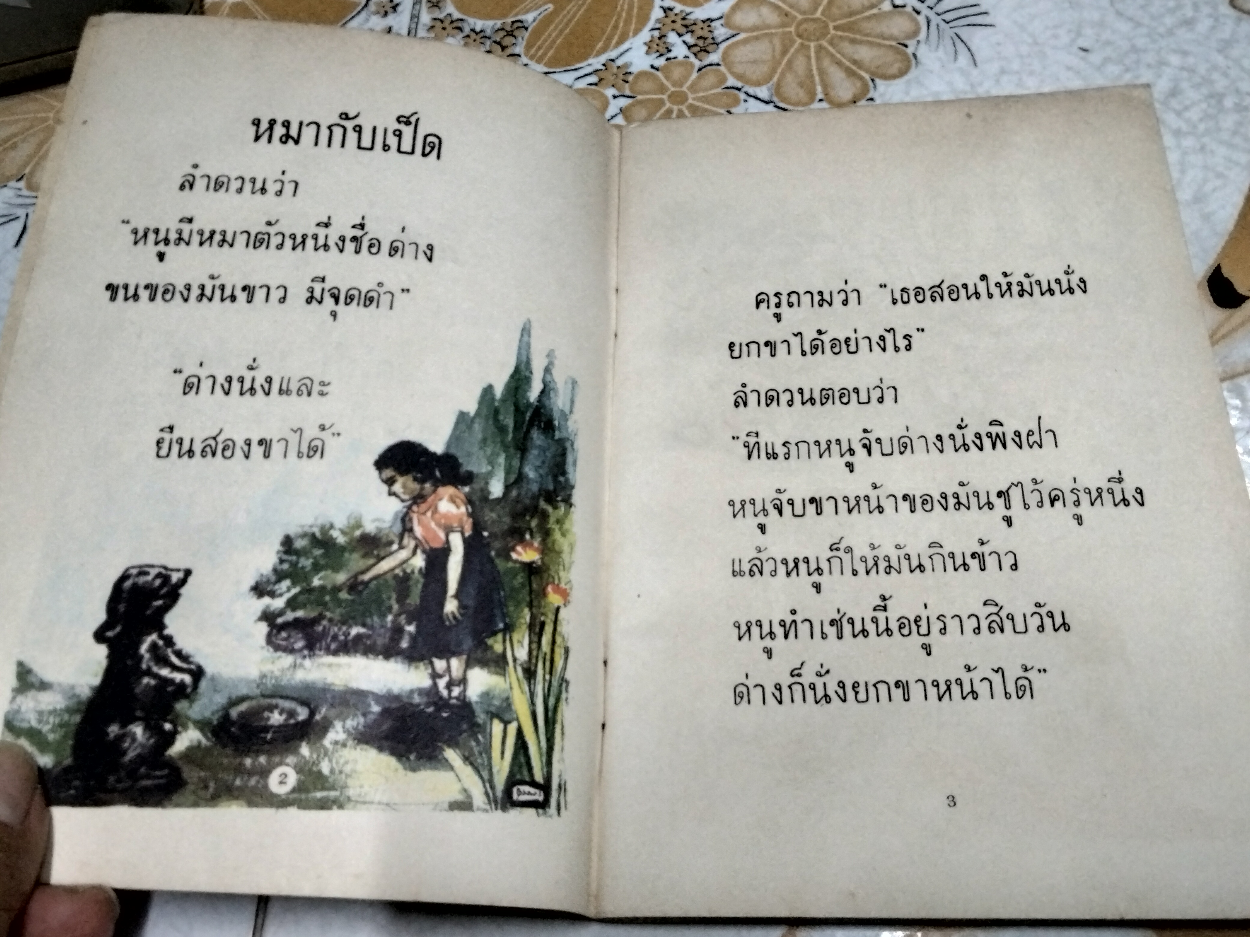 หนังสือแบบเรียนเก่า - แบบสอนอ่านวิทยาศาสตร์เบื้องต้น เรื่อง สัตว์ที่เรารู้จัก ชั้นประถมปีที่ 1 ของ กระทรวงศึกษาธิการ พิมพ์ครั้งที่ 7 พ.ศ 2513 **สินค้าหมด**