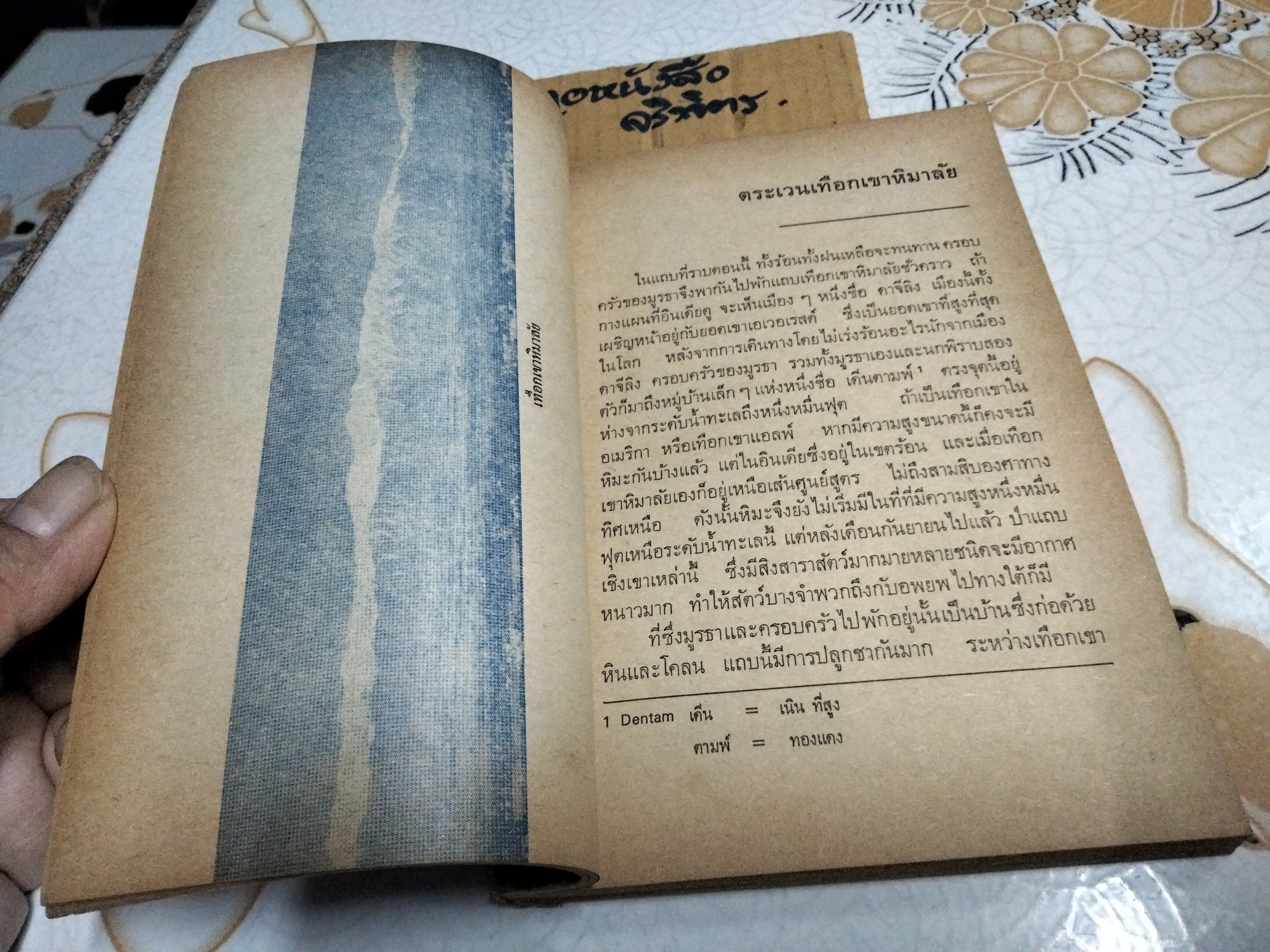 เจ้าสีรุ้ง (พิมพ์ครั้งแรก พ.ศ.2514) หนังสืออ่านสำหรับเยาวชน ตามโครงการหนังสือเด็กของ กองบรรณาธิการชัยพฤกษ์ ชุด 5 อันดับ 4 ***สินค้าหมด**