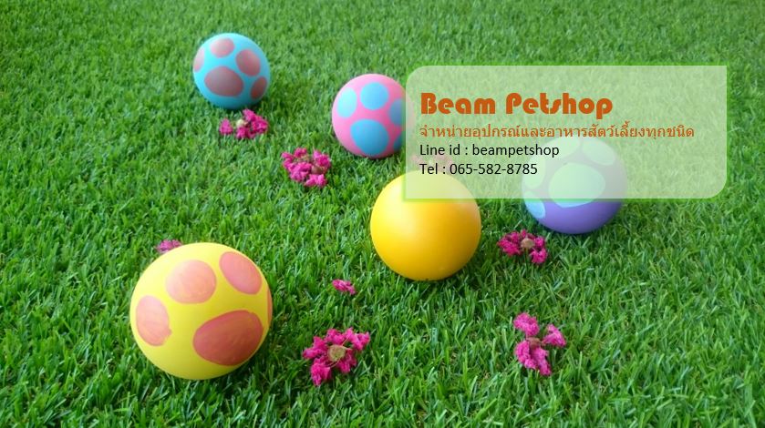 Beam Petshop