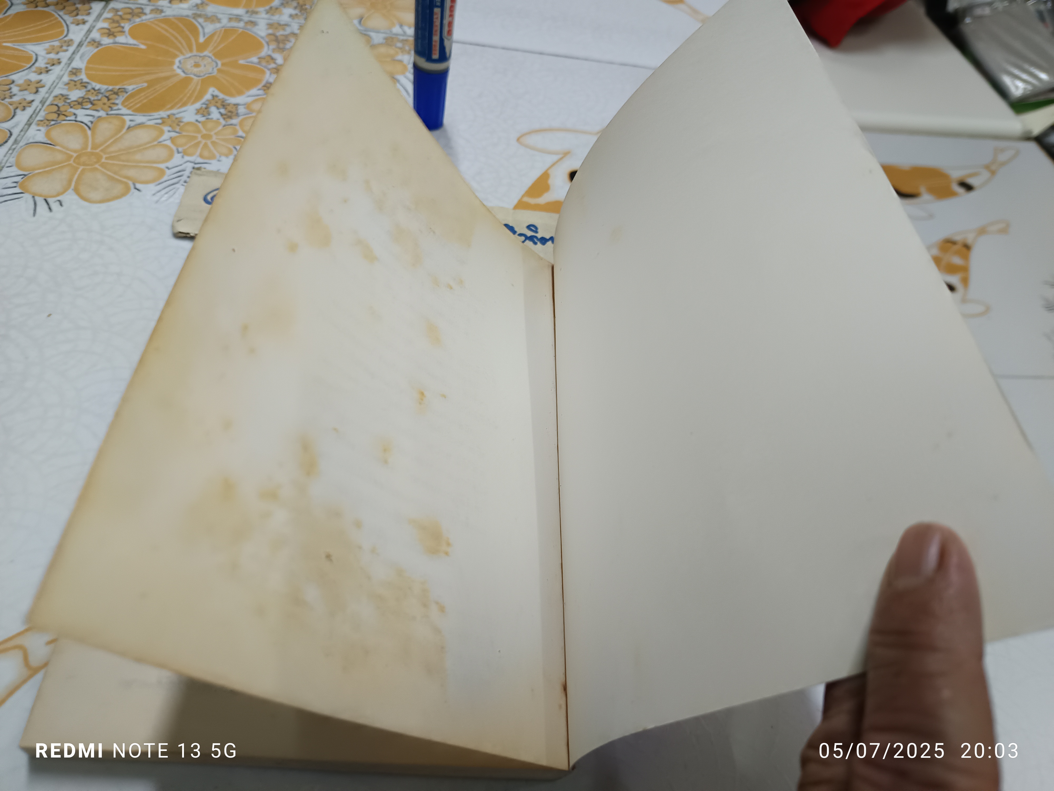 สยองขวัญ โดย เอโดงาวะ รัมโป แปลโดย ปาริฉัตร เสมอแข / ผุสดี นาวาวิจิต **สินค้าหมด**