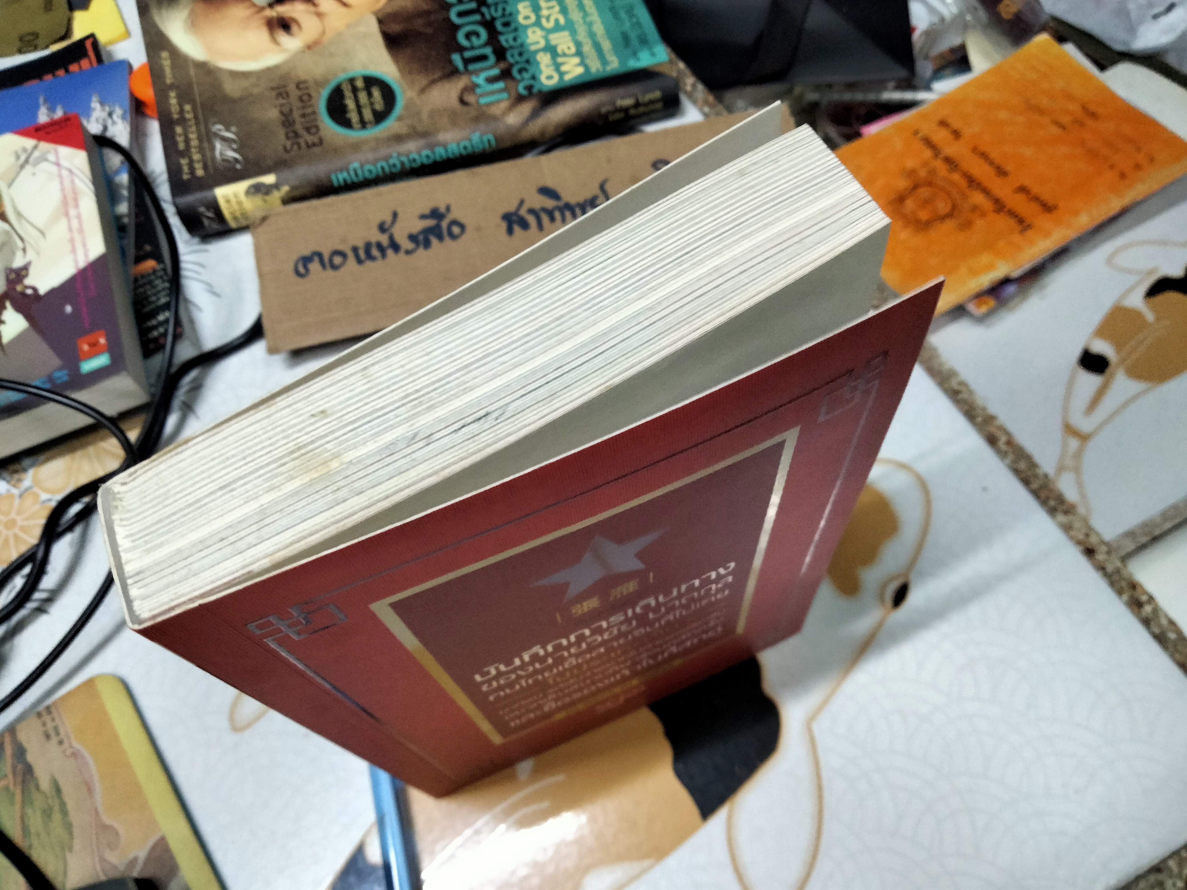 บันทึกการเดินทางของนายวิชัย มาตกุลฯ โดย วิชัย 10 DAYS IN CHINA **สินค้าหมด**