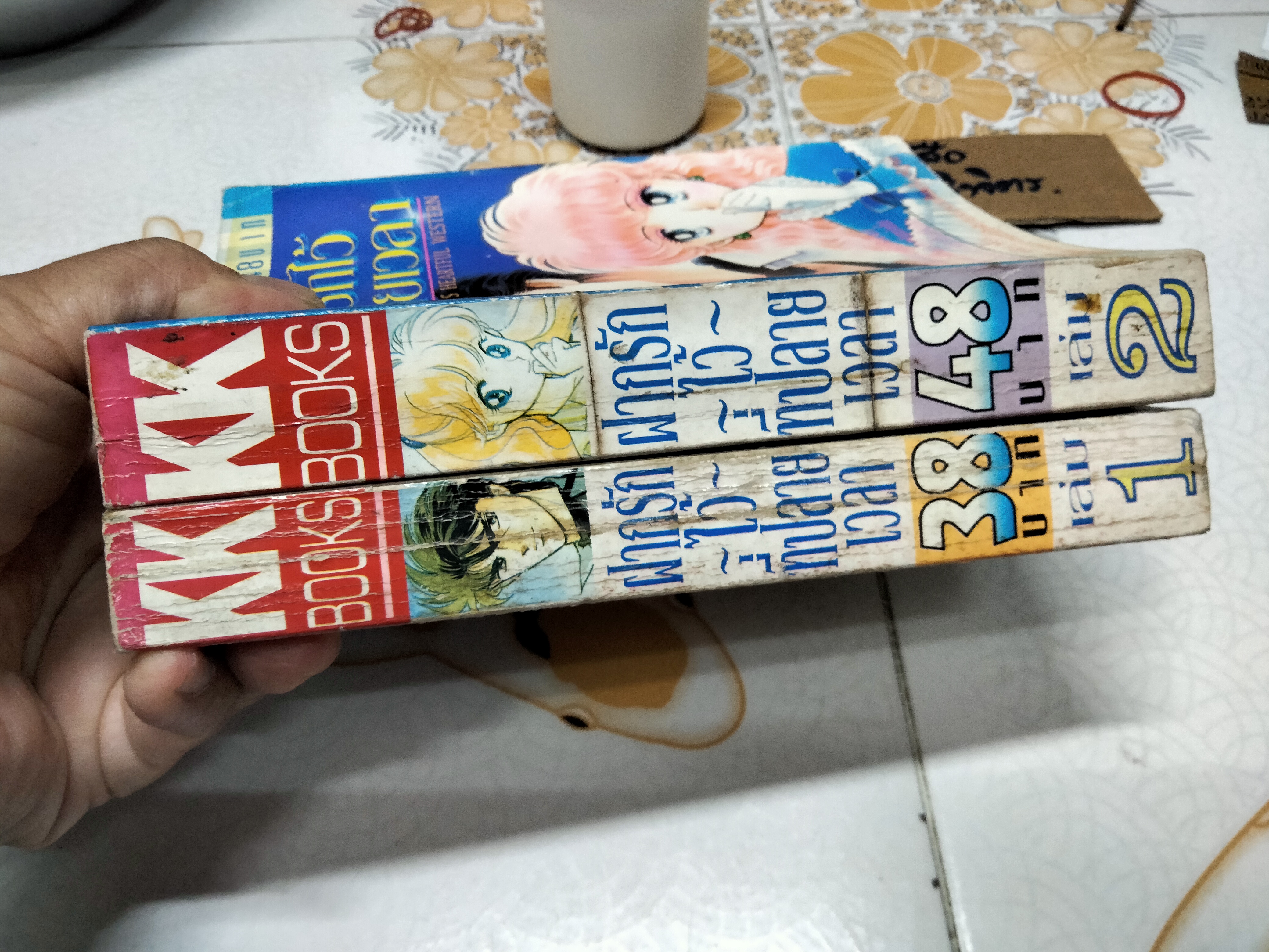 หนังสือการ์ตูน ฝากรักไว้ที่ปลายเวลา (2เล่มจบครบชุด) โดยฮิคาวะ เคียวโกะ **สินค้าหมด**