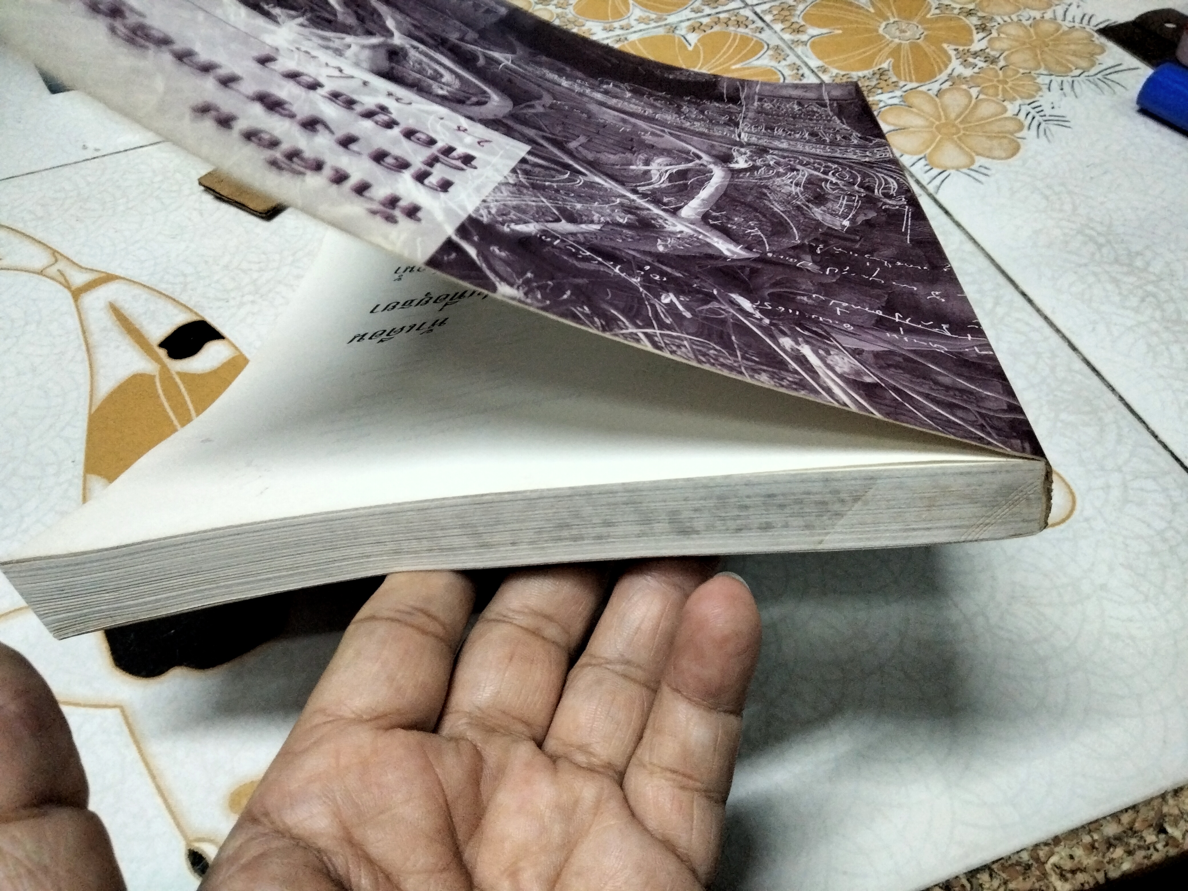 ห้าเดือนกลางซากอิฐปูนที่อยุธยา โดย น.ณ ปากน้ำ พิมพ์ครั้งที่ 3/2540 (1,000 เล่ม) มีกลิ่นความชื้น **สินค้าหมด **