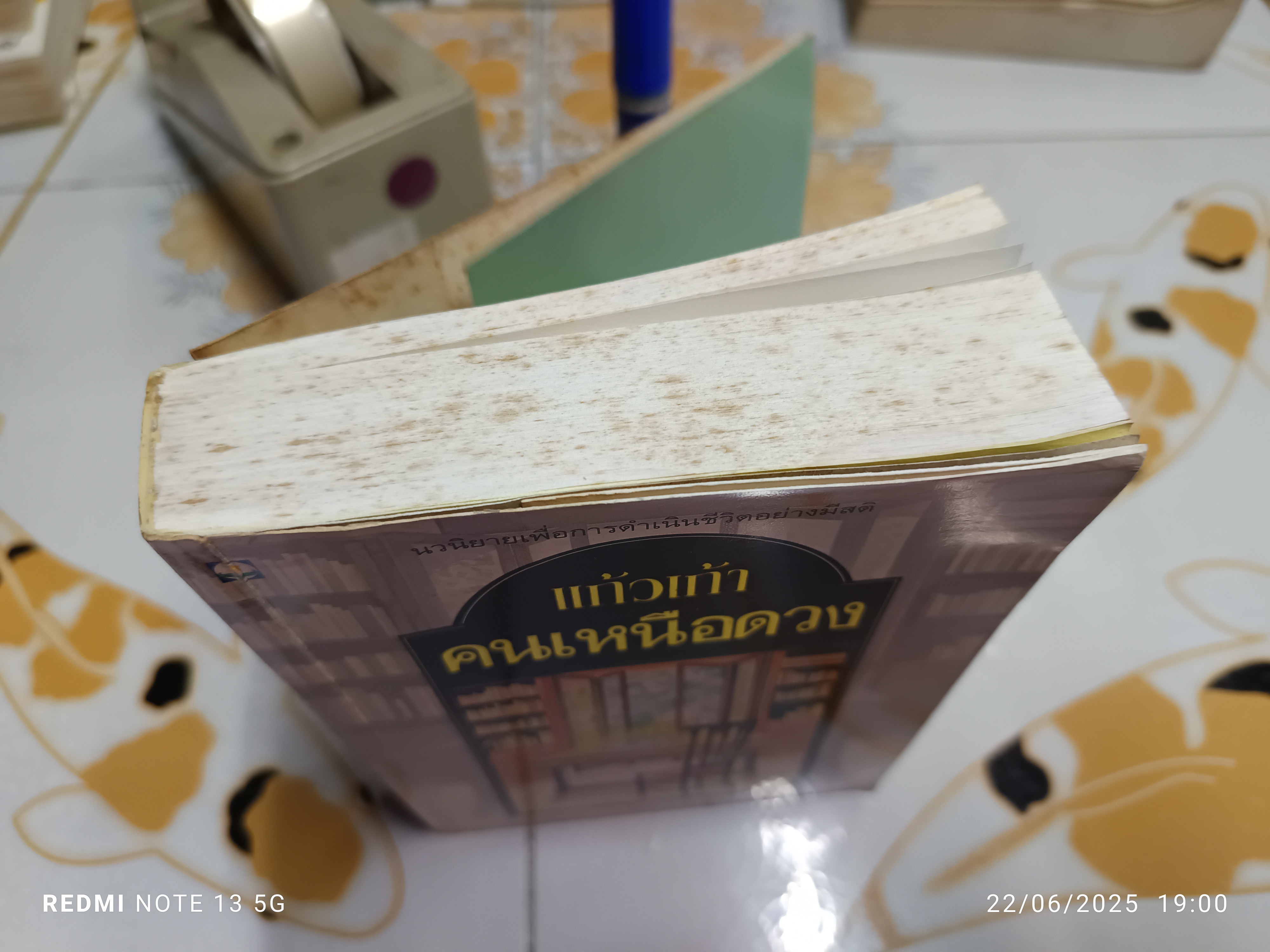 คนเหนือดวง ( เล่มเดียวจบ ) ผลงานของ แก้วเก้า / สนพ.ดอกหญ้า **สินค้าหมด**