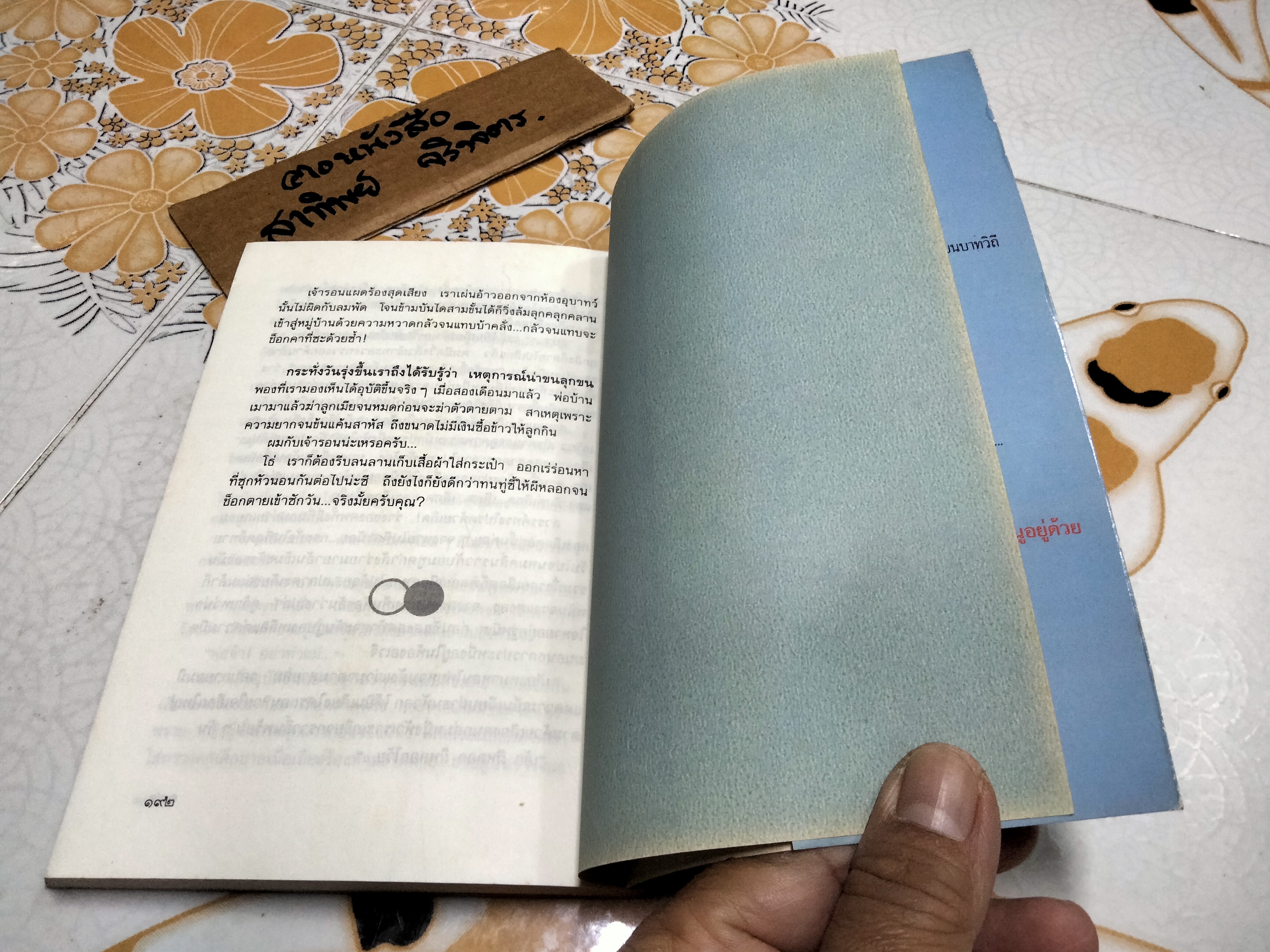 เสียงเรียกในราตรี โดย ใบหนาด (ณรงค์ จันทร์เรือง)