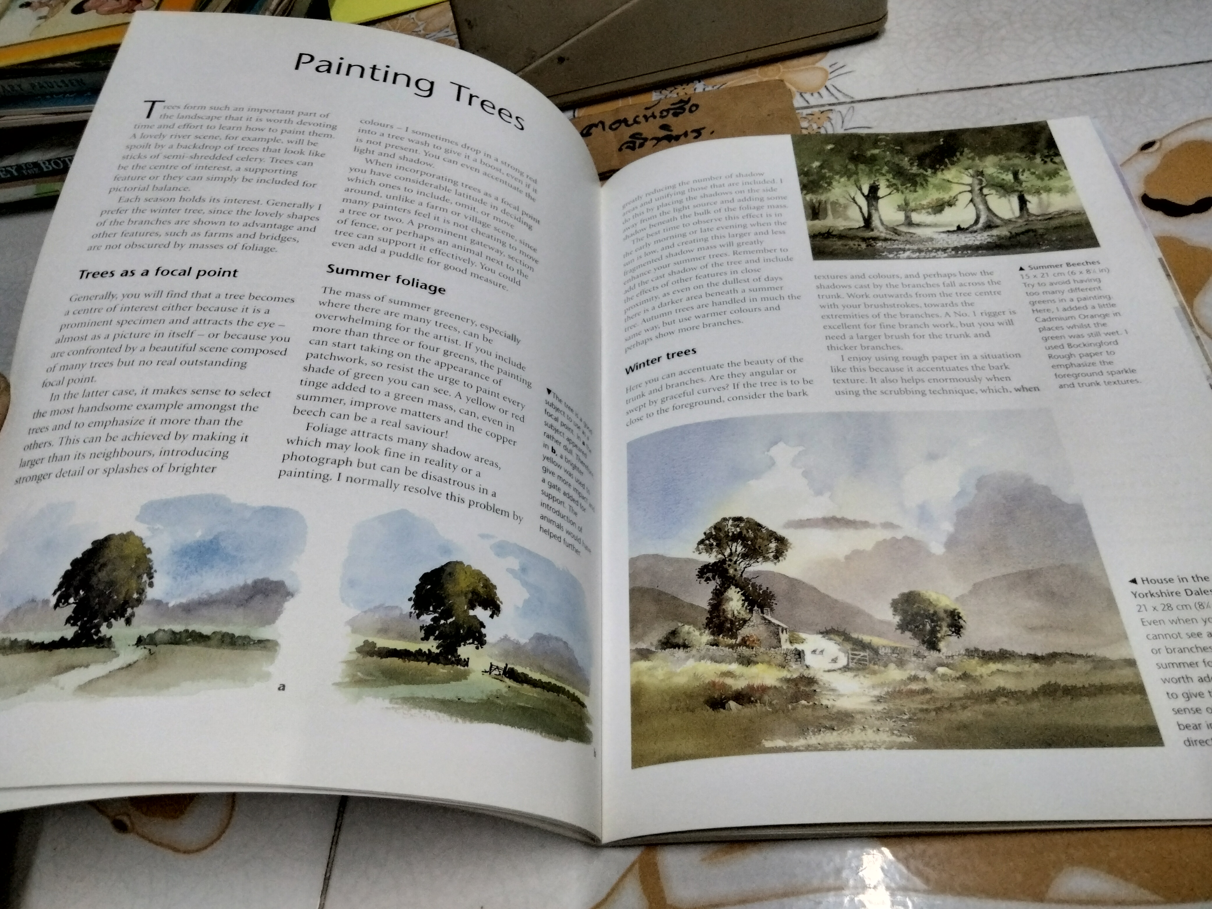 Watercolour Landscapes by David Bellamy Collins - Learn to Paint