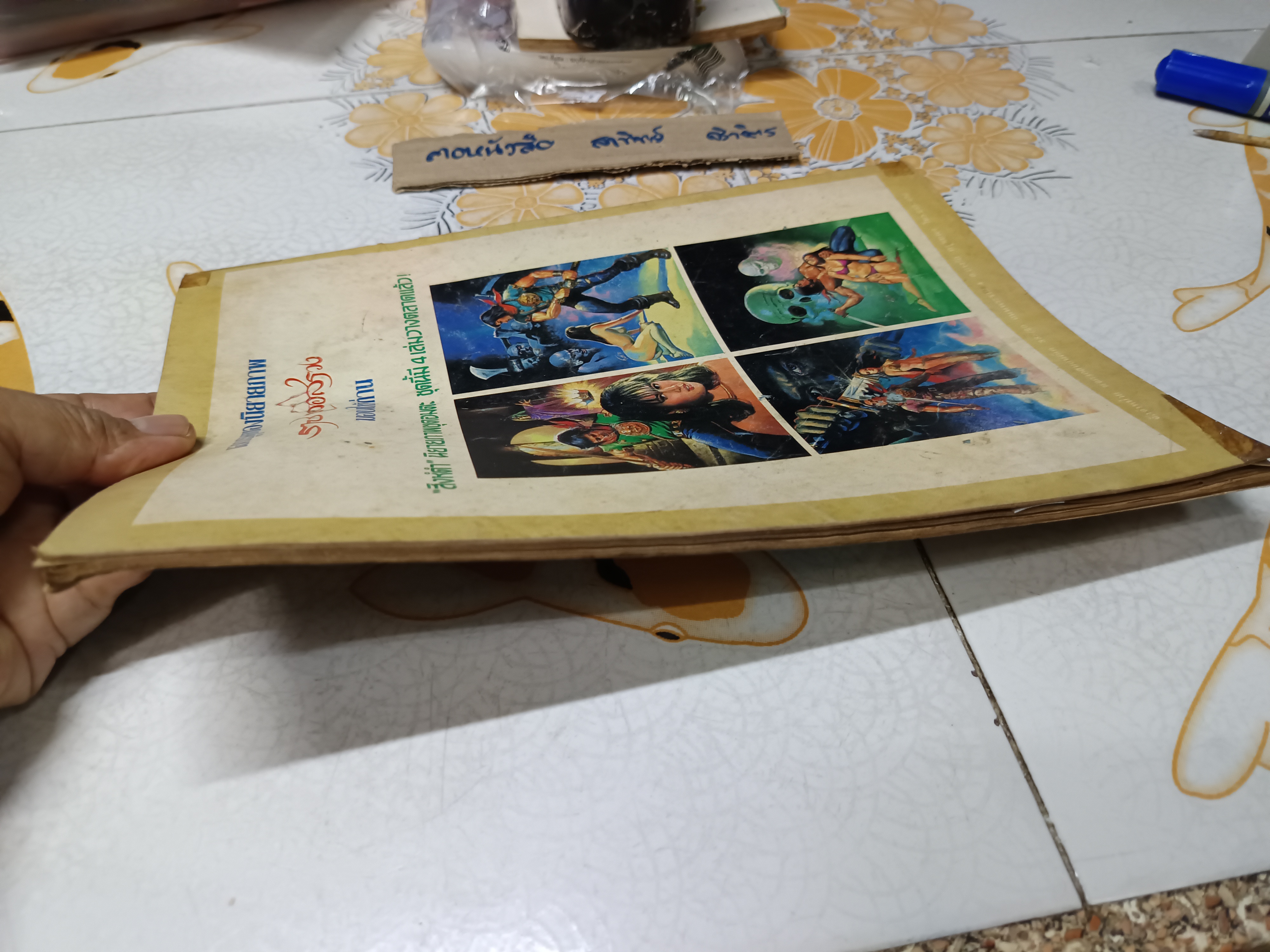 นิยายภาพของ ราช เลอสรวง ตอน มงกุฎมหาภัย 1 เล่มจบ / สิงห์ดำ ภาคพิเศษ (เล่มเดียวจบ)