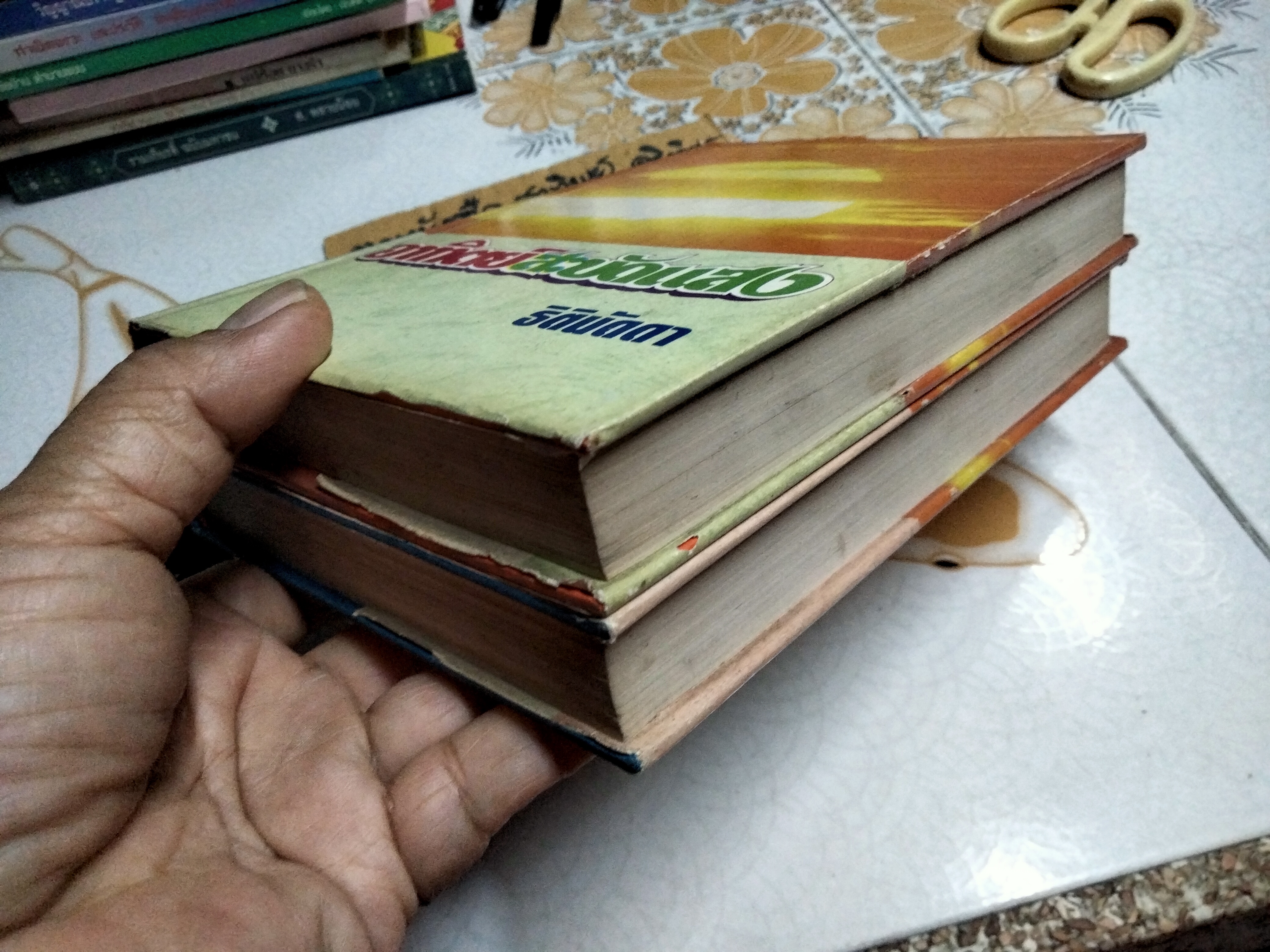 อาทิตย์สะบัดแสง (2 เล่มจบ) ธิตินัดดา สนพ. วังอักษร พ.ศ.2532 **สินค้าหมด**