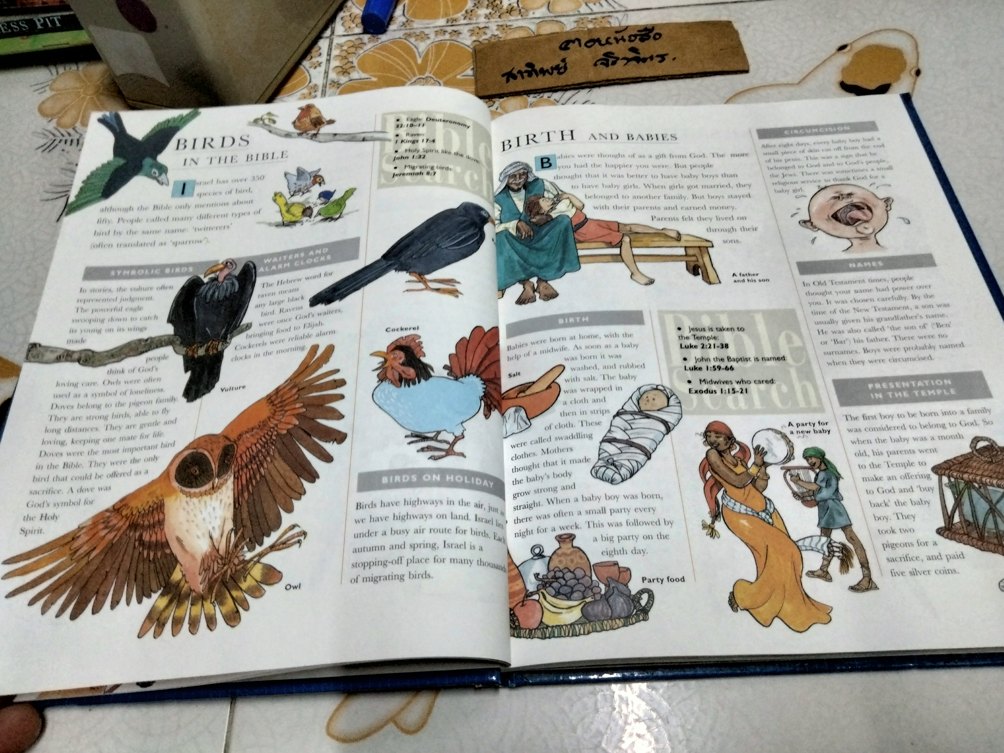 The Children's Encyclopedia of Bible Times by Mark Water พิมพ์ปี 1995