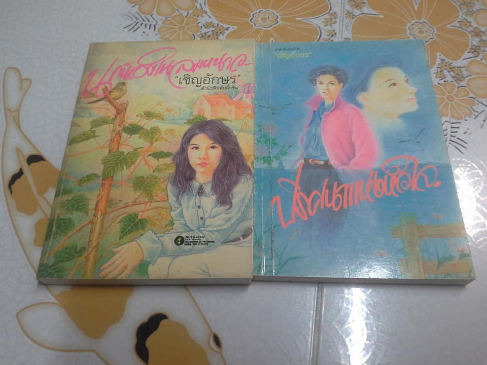 นิยาย ผลงานของ เชิญอักษร ขายยกชุด รวม 11 เรื่อง (ยังไม่ครบ) **สินค้าหมด**