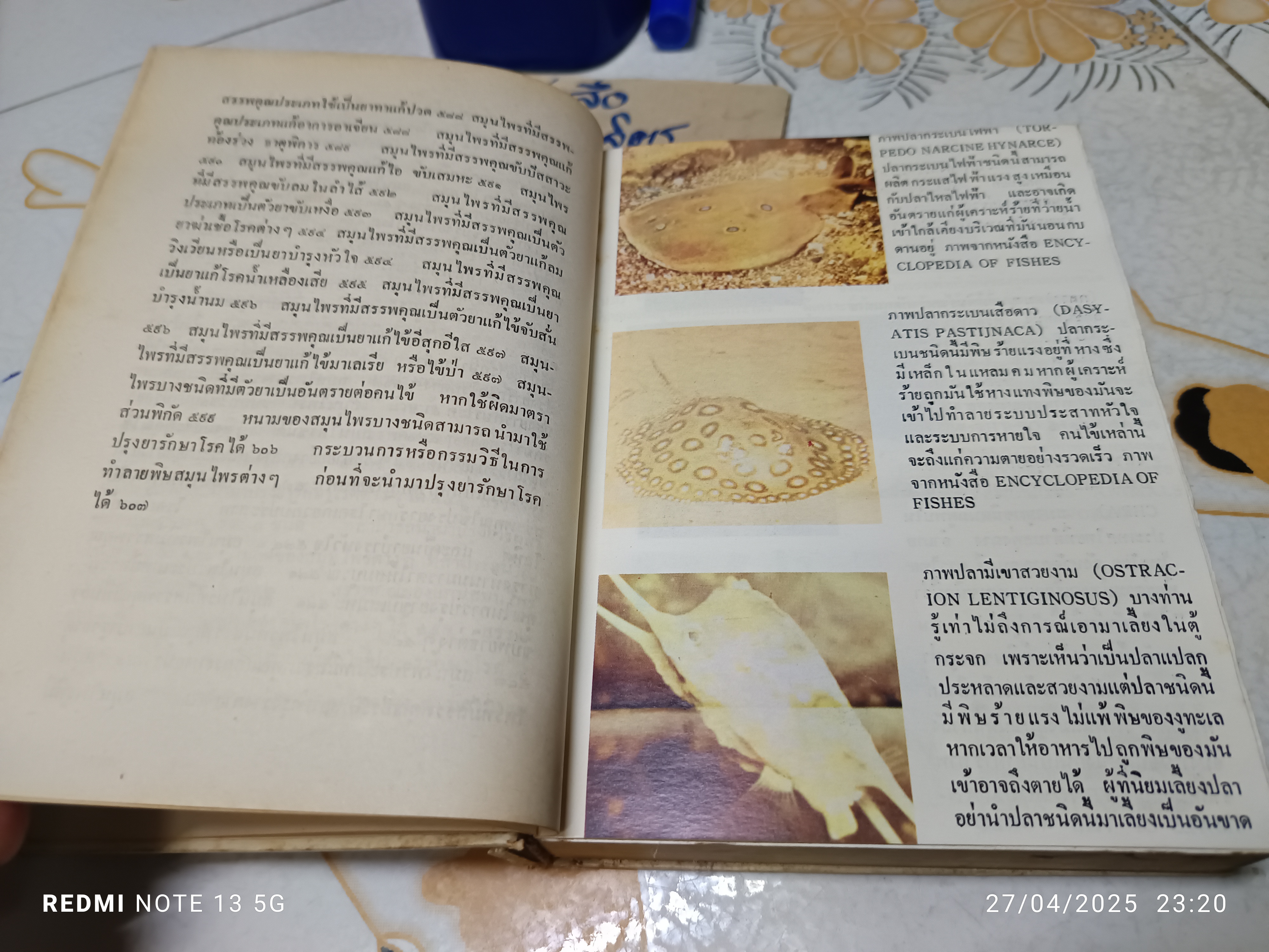 หลักการใช้ยาสมุนไพรรักษาโรคต่างๆ โดย พ.ต.อ.ชลอ อุทกภาชน์ พิมพ์ปี 2523 สำนักพิมพ์แพร่พิทยา **สินค้าหมด**