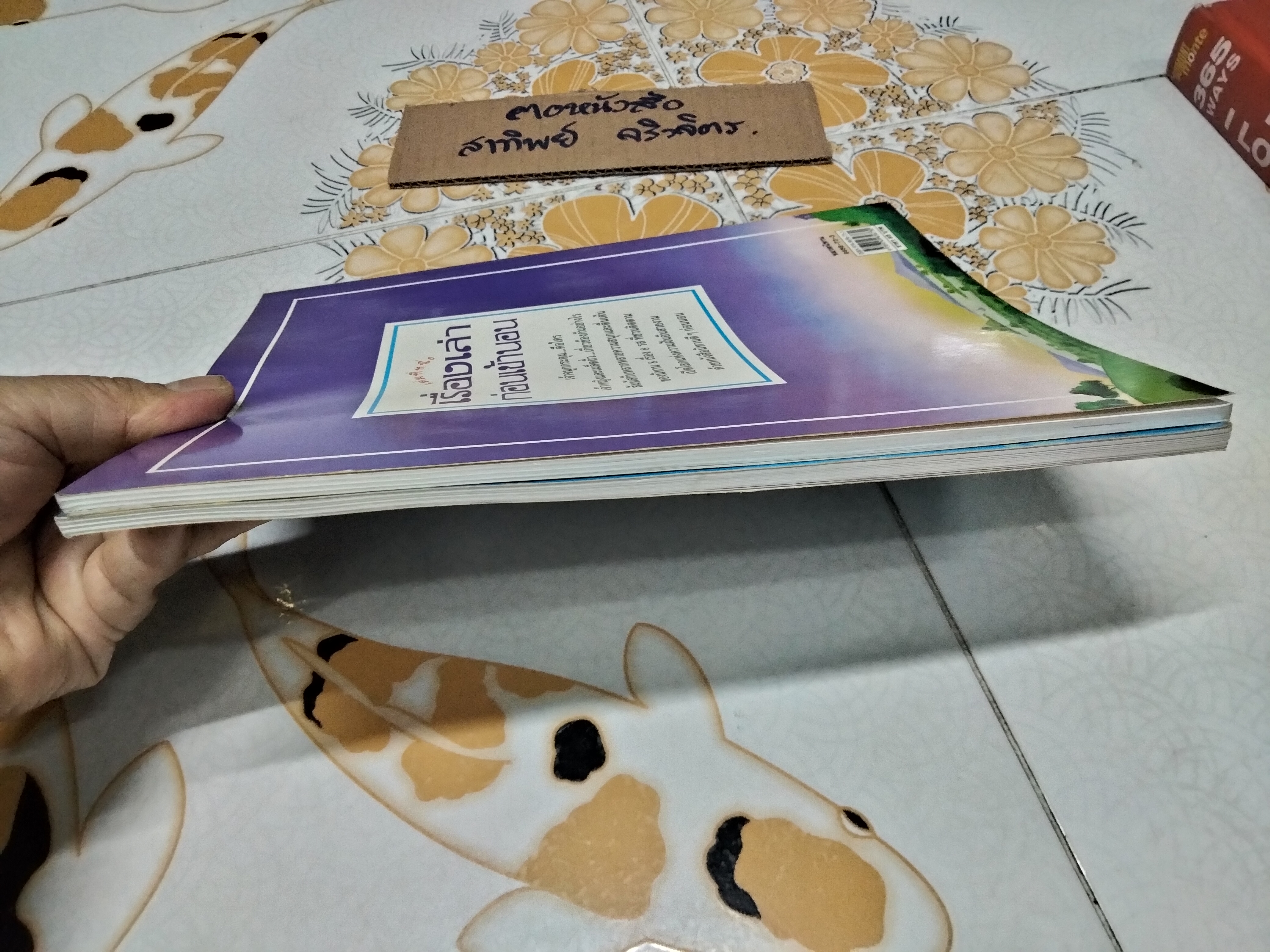 เรื่องเล่าก่อนเข้านอน เล่ม 1-2 ฟิลิป ฮอว์ธอร์น เรื่อง , สตีเฟน คาร์ทไรท์ ภาพ - จิตมาและสุมาลี แปล **สินค้าหมด**