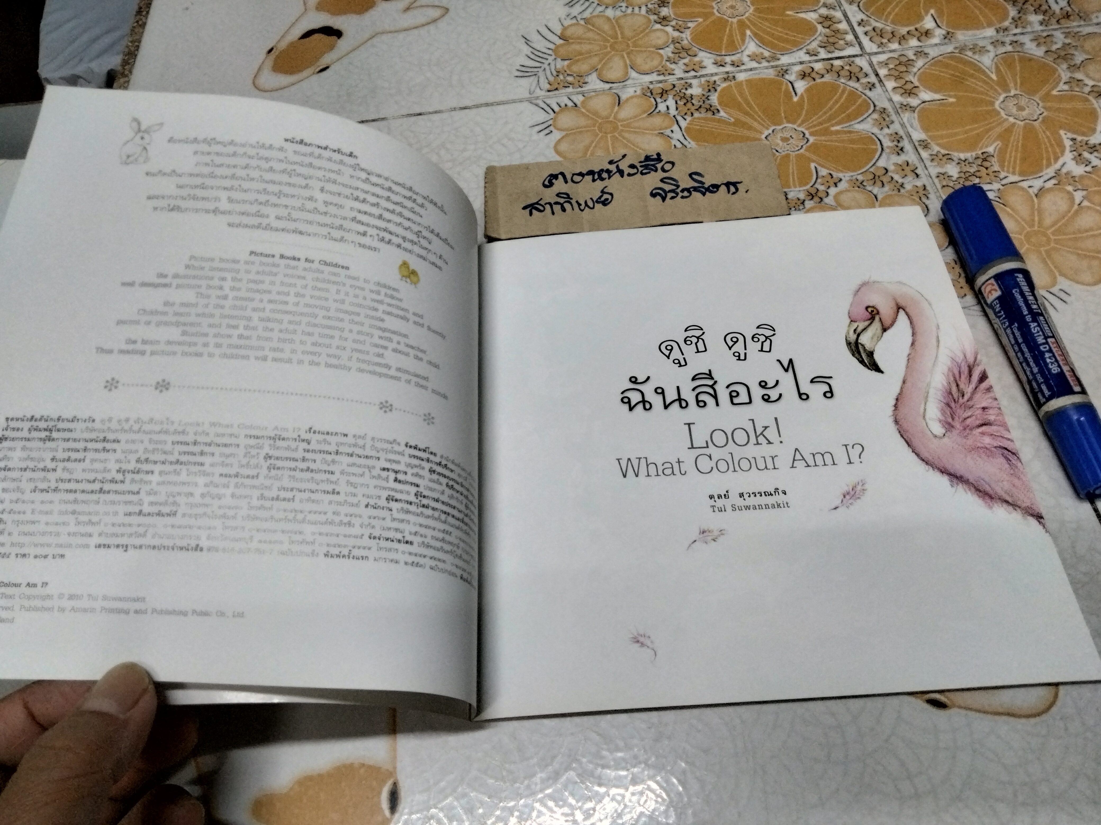 ดูซิ ดูซิ ฉันสีอะไร (นิทาน 2 ภาษา ไทย- อังกฤษ) Look What Colour Am I ? - ตุลย์ สุวรรณกิจ (Tul Suwannakit)