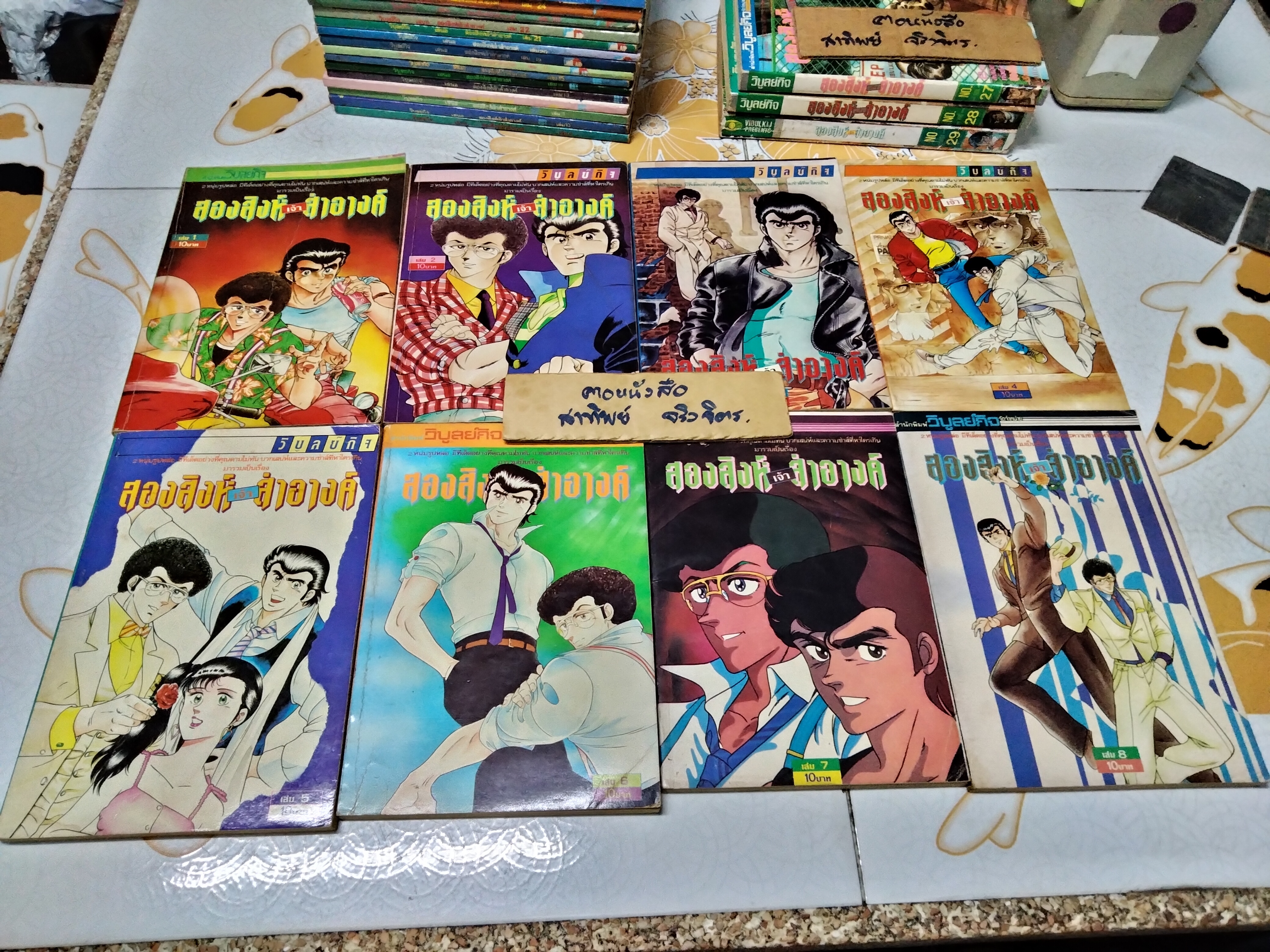 สองสิงห์เจ้าสำอางค์ - วิบูลย์กิจ (ขายรวม 27 เล่ม ขาดเล่ม 16,18 - ครบชุดคือ 29 เล่มจบ)