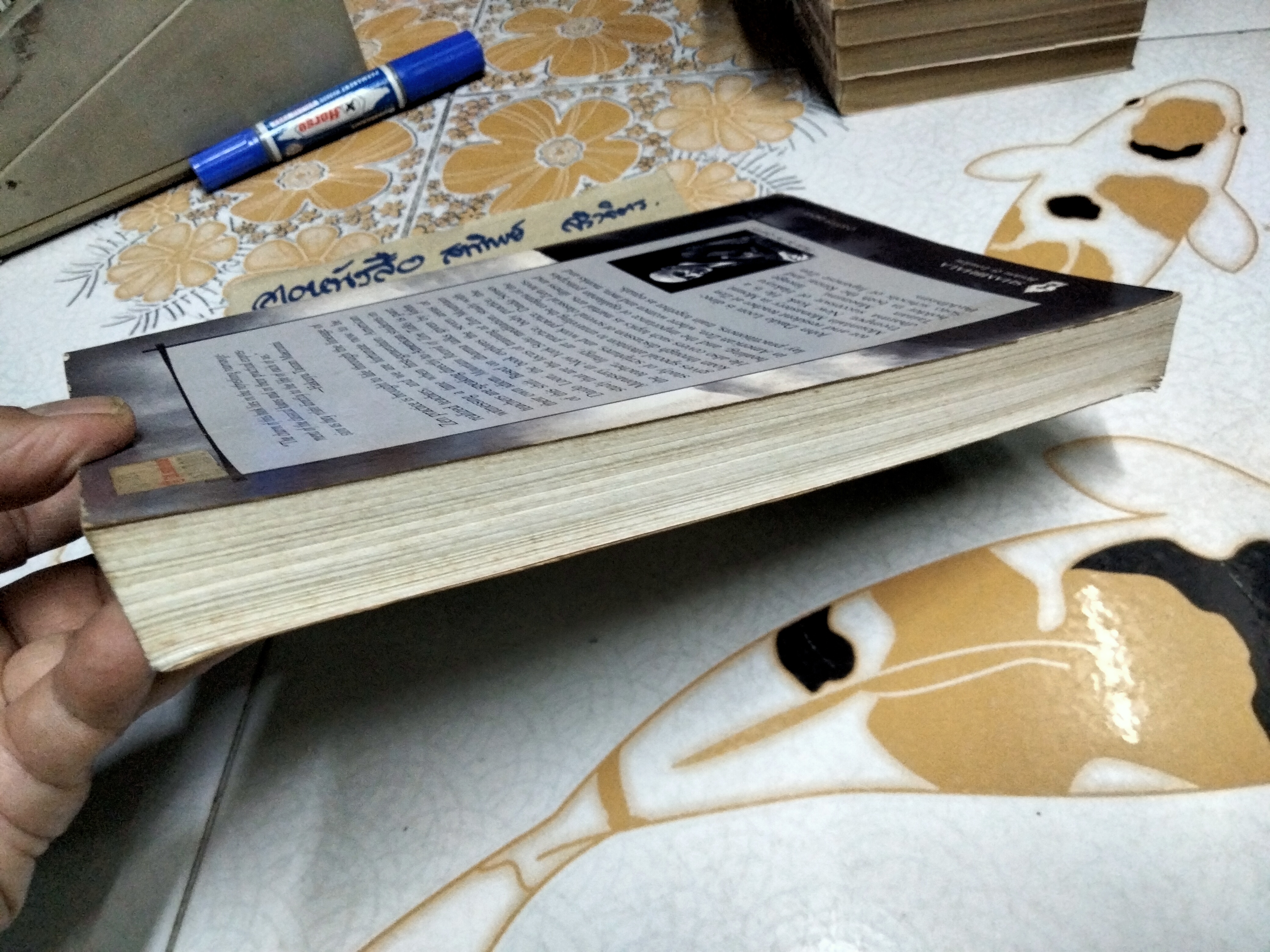 Mountain record of ZEN talks John Daido Loori First print 1988 **สินค้าหมด**