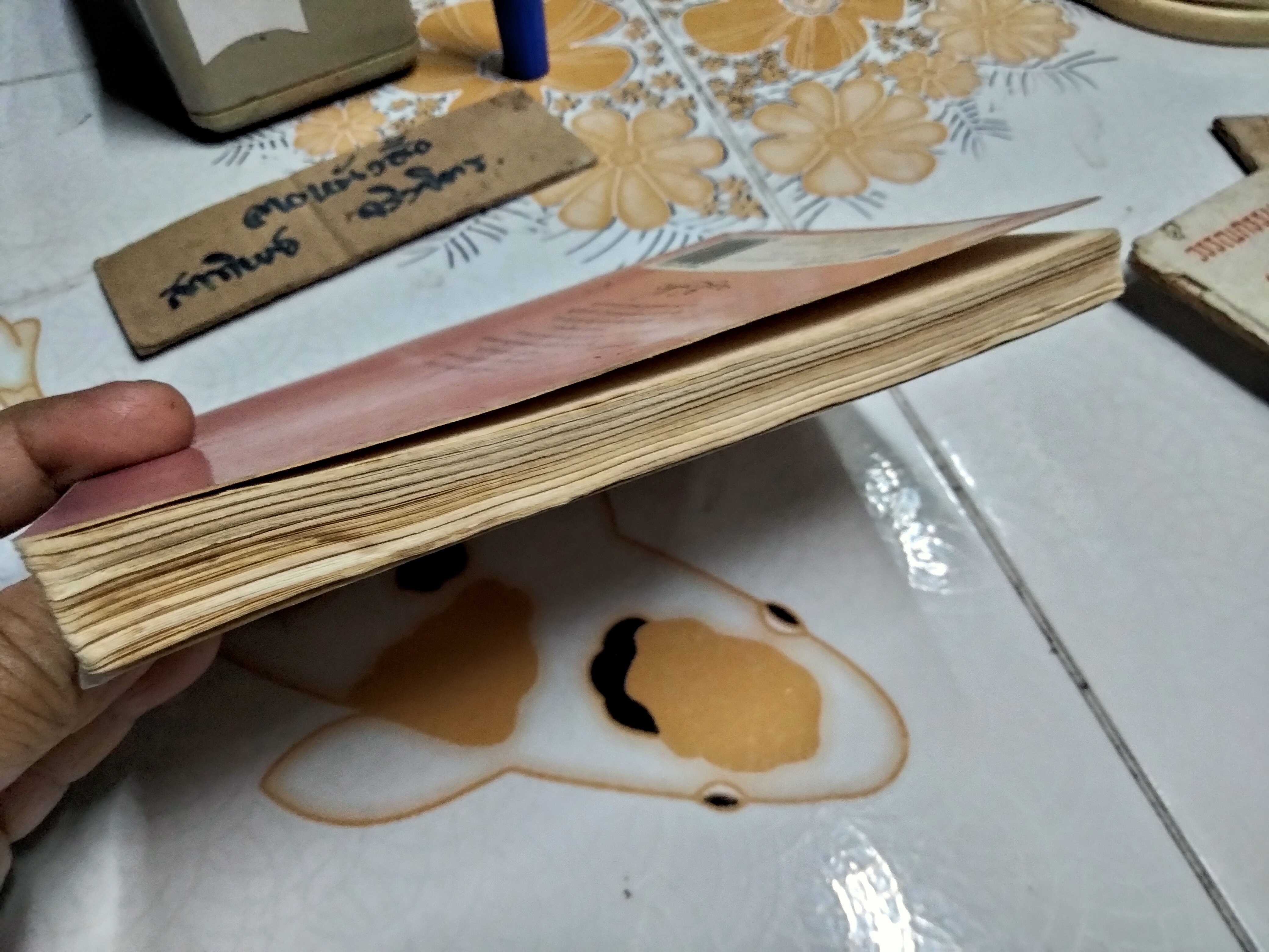 ความสุขในโลก โดย ระวี ภาวิไล - คู่มือสร้างความสุขแก่ตนเอง ครอบครัวและแก่โลก (พิมพ์ครั้งแรก พ.ศ 2542)