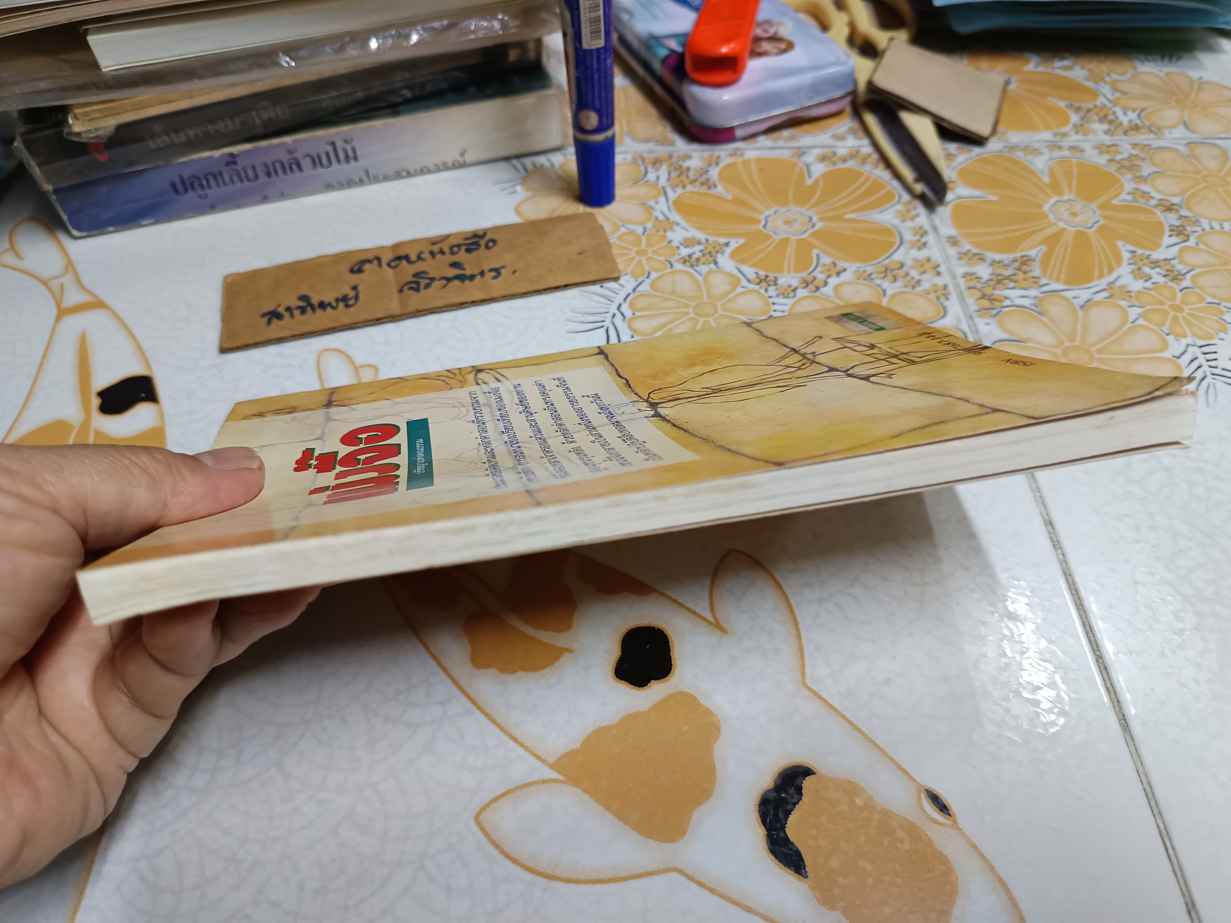 การ์ตูนปรัชญา เม่งจื๊อ ไช่จื้อจง รูปและเรื่อง อดุลย์ รัตนมั่นเกษม แปล