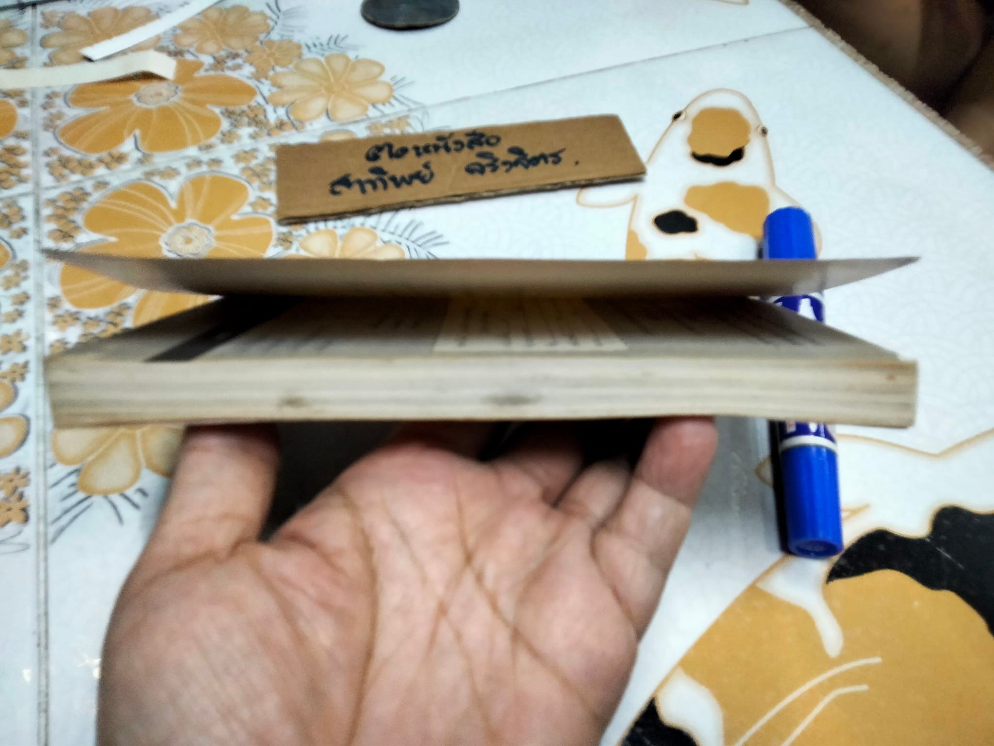 ดุลยภาพแห่งชีวิต - ตาร์ถัง ทุลกู เขียน , วัชรา ทรัพย์สุวรรณ แปล **สินค้าหมด**