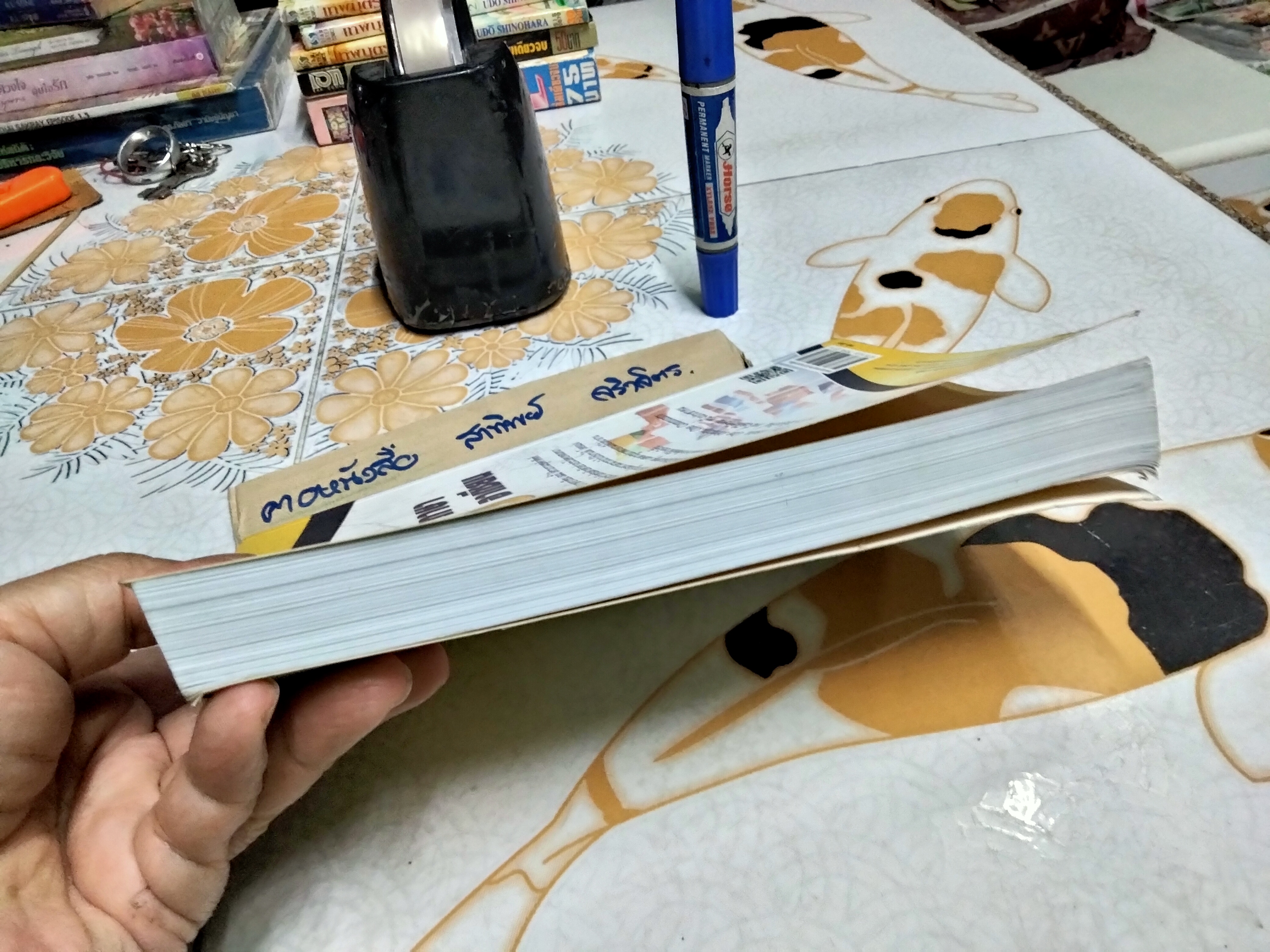 พจนานุกรมภาพ 10 ภาษาอาเซียน โดย ขนิษฐา แพรต่วน พิมพ์ปี พ.ศ. 2562