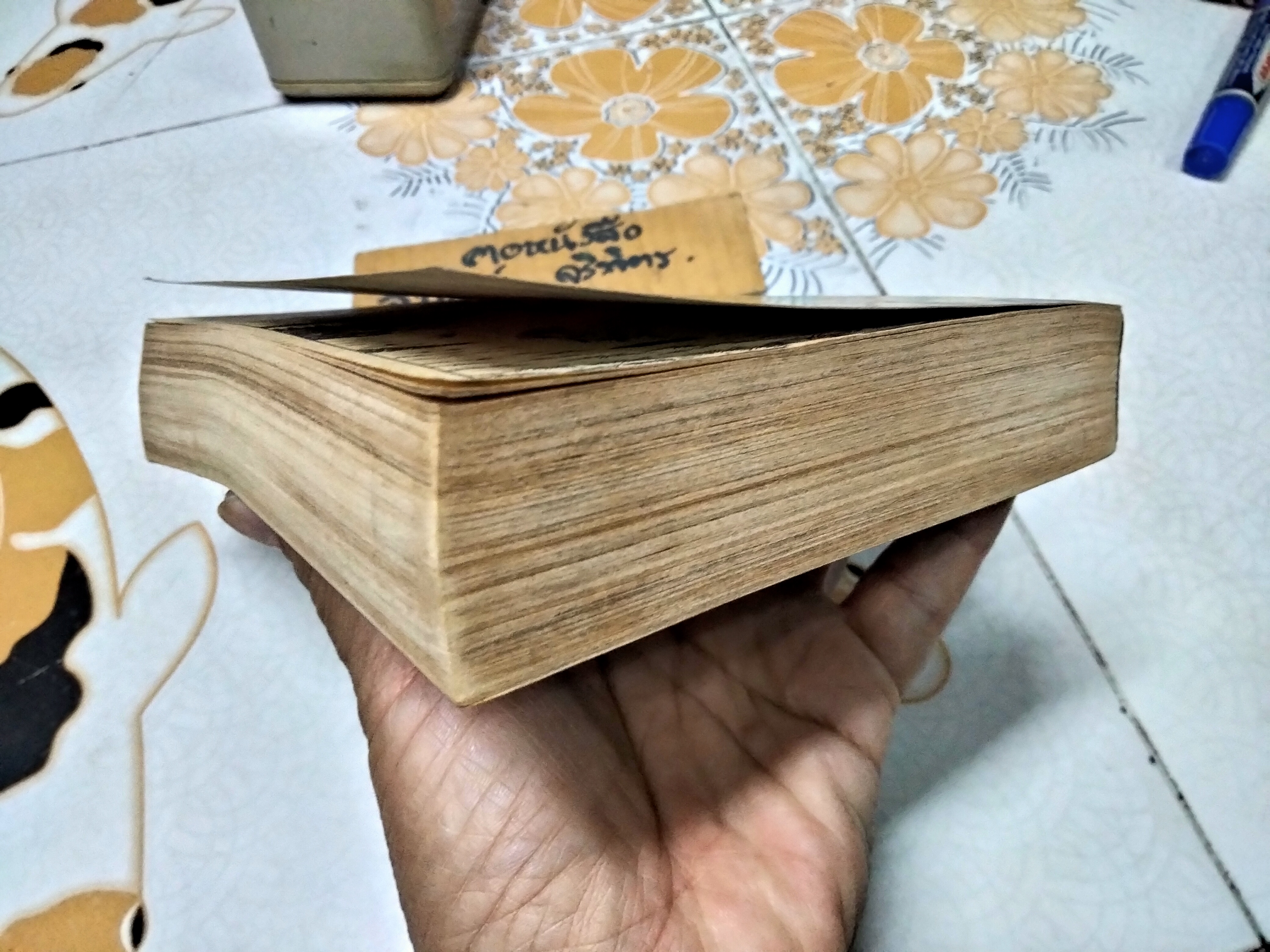 ลุยโลกล้านปี (เล่มเดียวจบ)