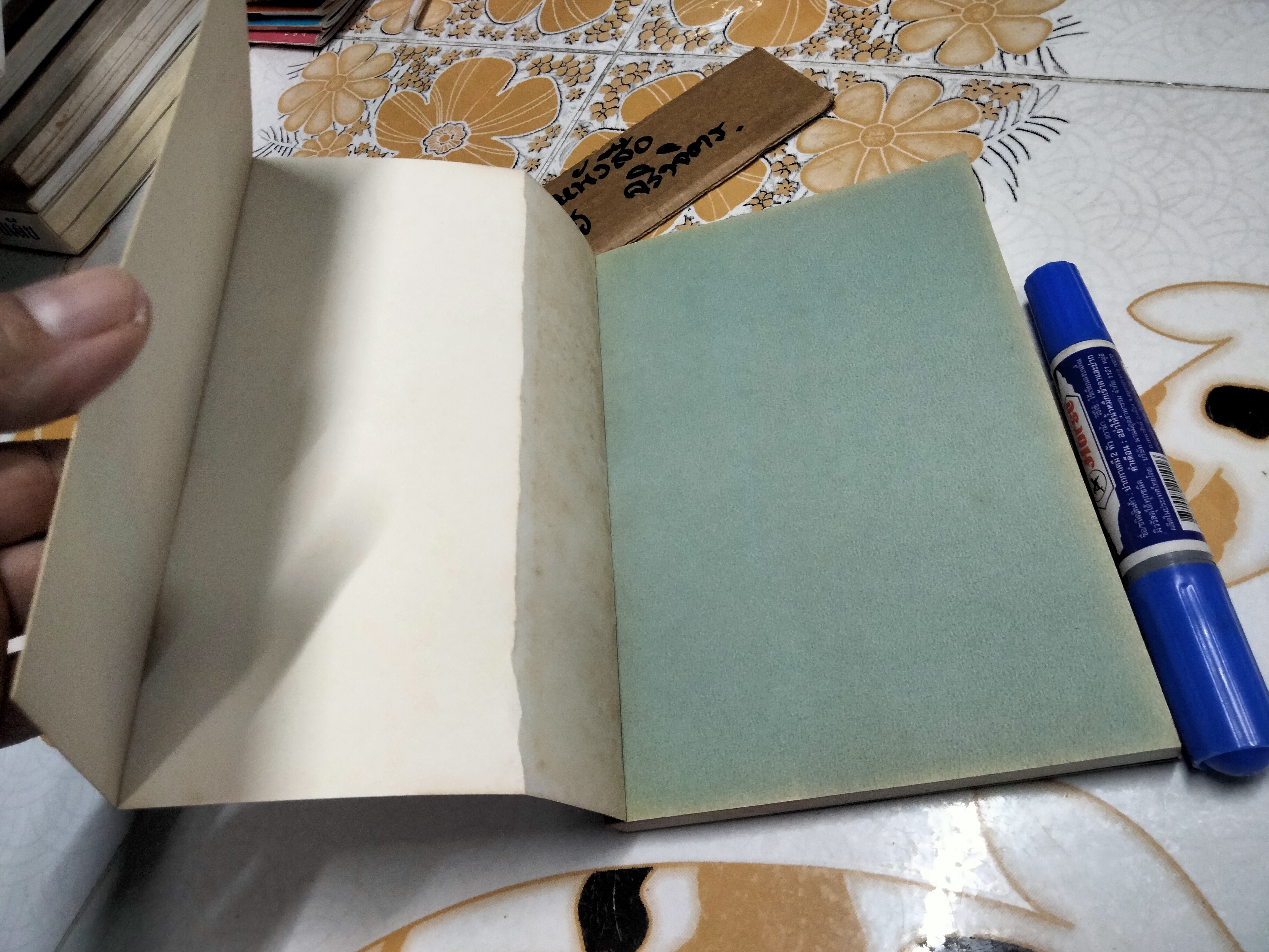 เสียงเรียกในราตรี โดย ใบหนาด (ณรงค์ จันทร์เรือง)