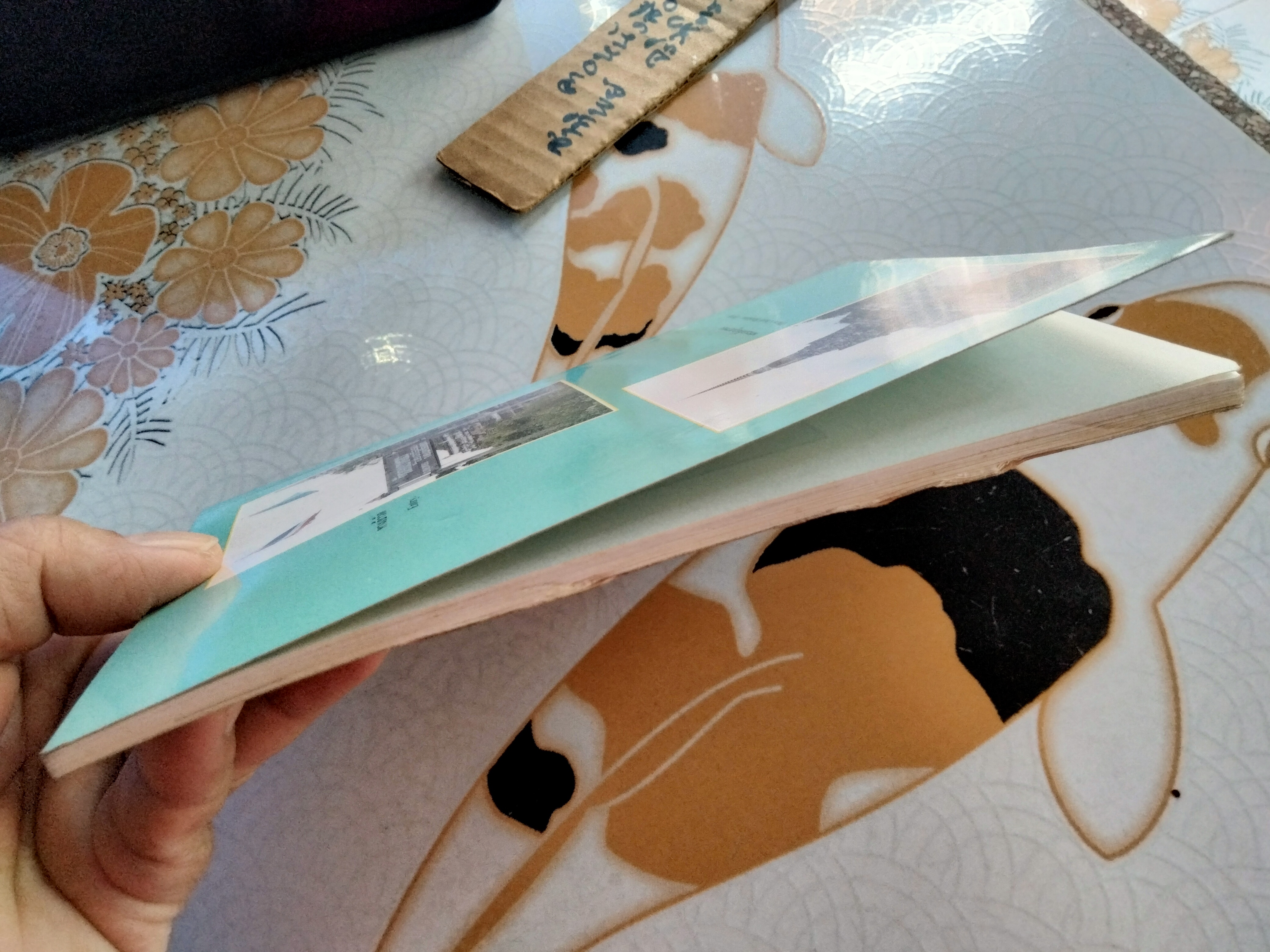 ประวัติ วัดภูเขาทอง ต.ภูเขาทอง อ.พระนครศรีอยุธยา จ.พระนครศรีอยุธยา **สินค้าหมด**