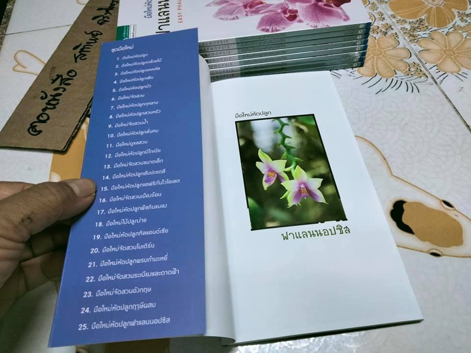 มือใหม่หัดปลูกฟาแลนนอปซิส (Easy Phalaenopsis) โดย ภวพล ศุภนันทนานนท์ , มือหนึ่ง ในซีล