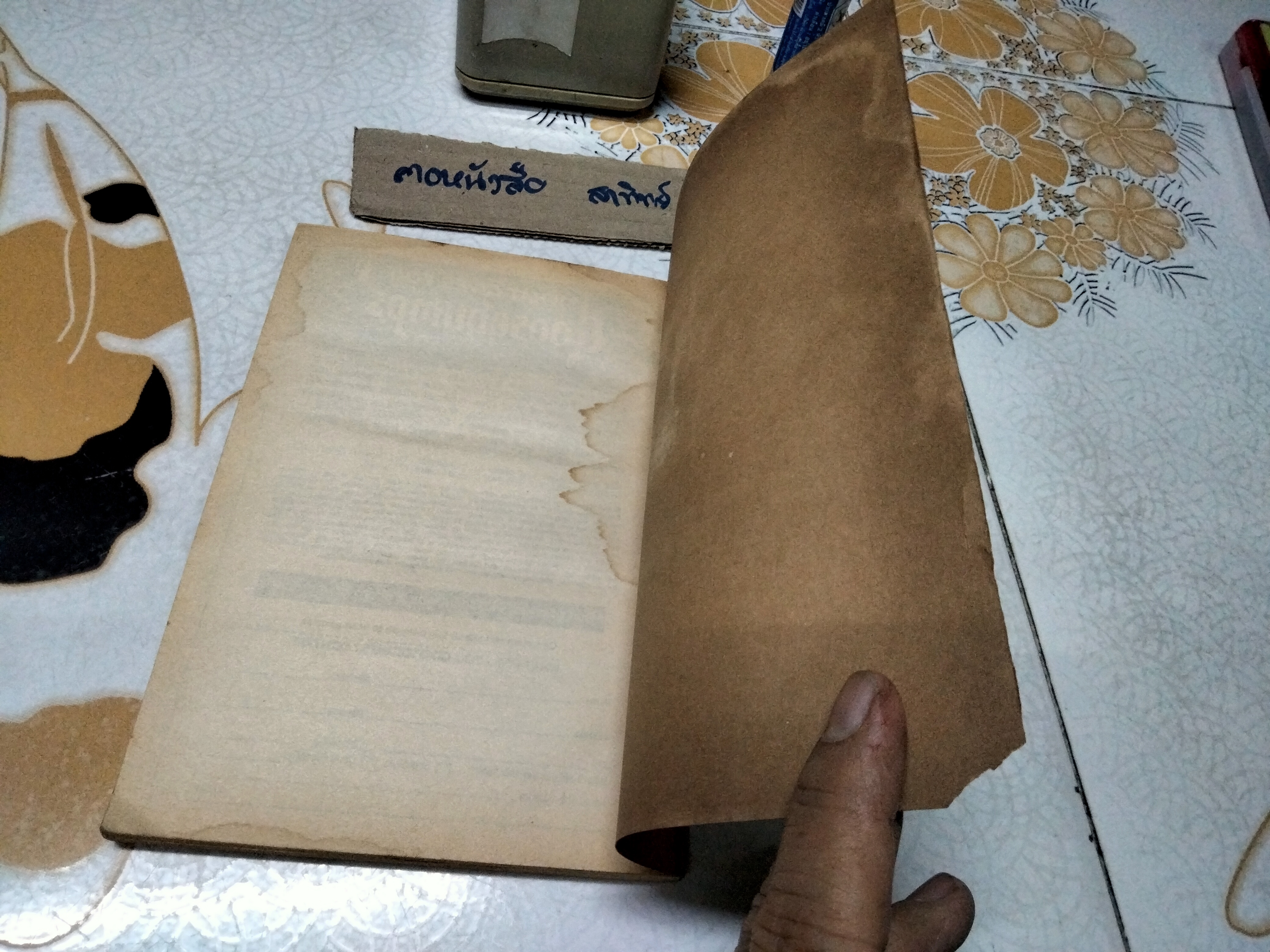 Goosebumps #17 Why I'm afraid of Bees (original series - R.L. STINE) ฉบับภาษาอังกฤษ สภาพพอใช้