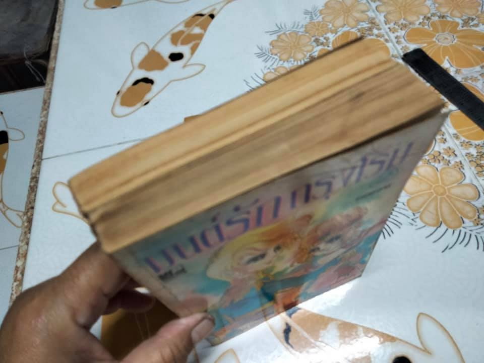 มนต์รักกรุงโรม 2 เล่มจบ - HOSOKAWA SHIEKO **สินค้าหมด**